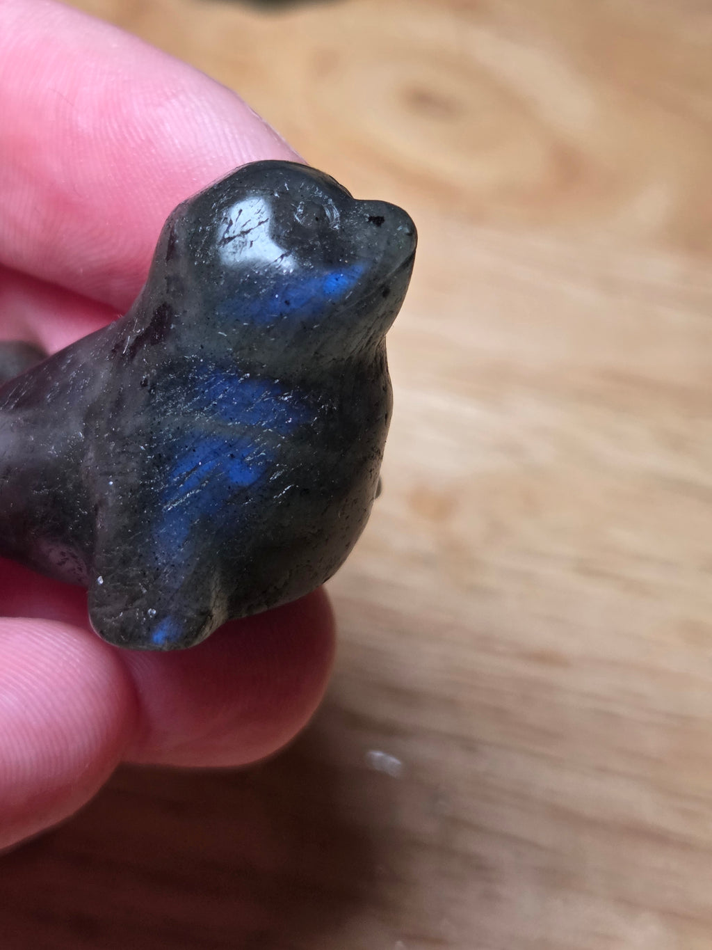 Labradorite crystal Seel carving