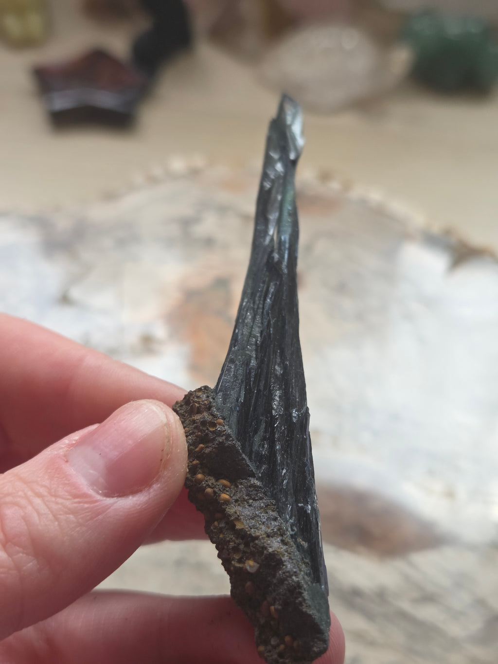 Genuine Vivianite specimen in box