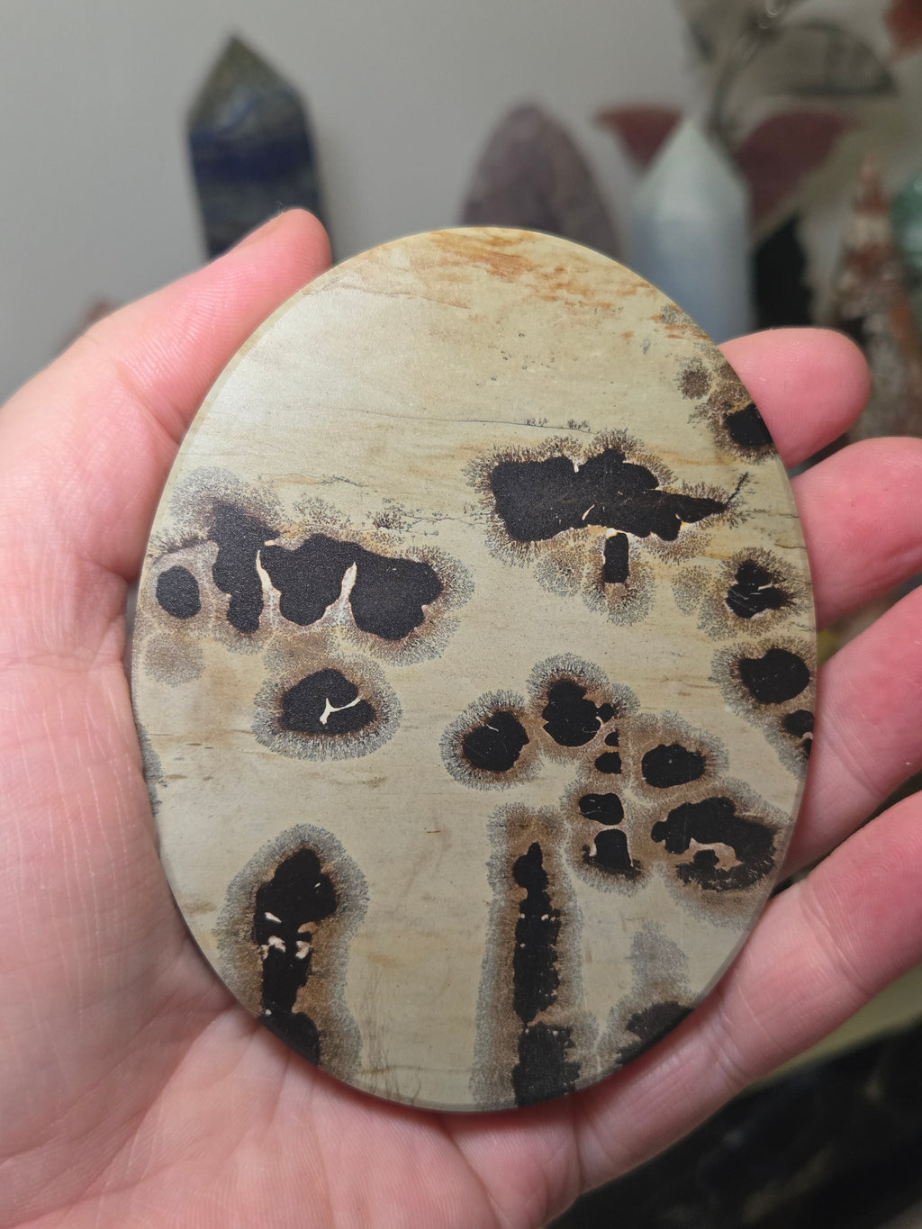 Picture jasper crystal slice