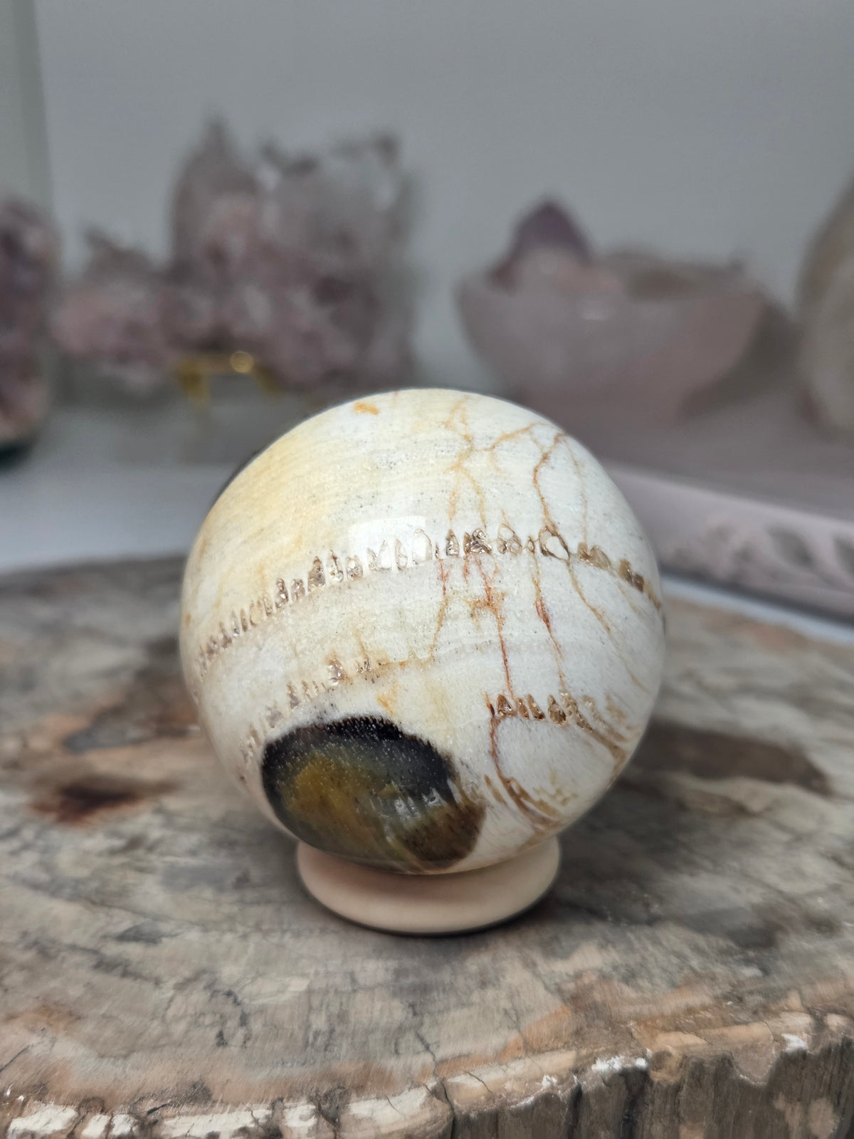 Petrified wood sphere