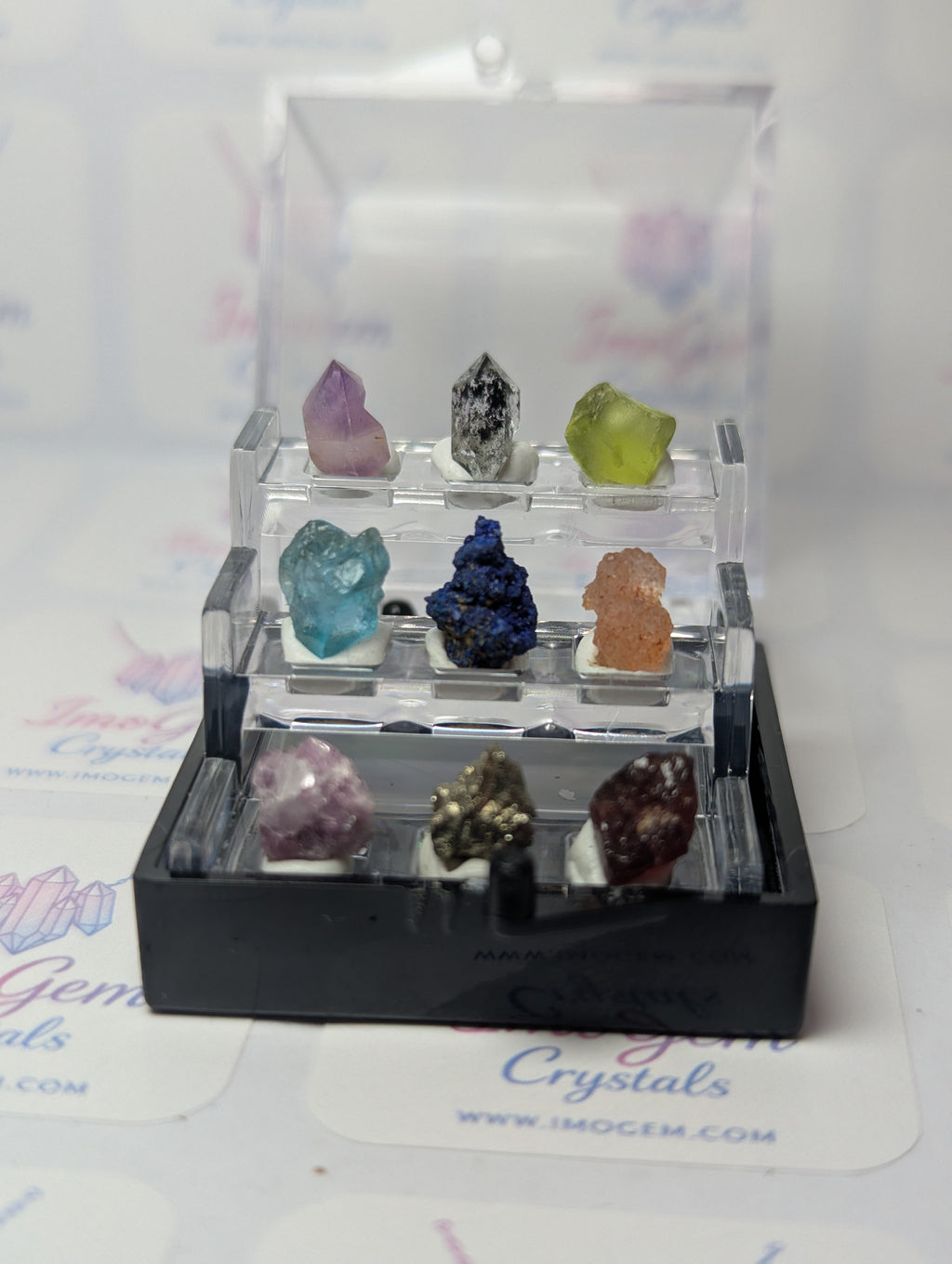 Amazing  mini specimen box
