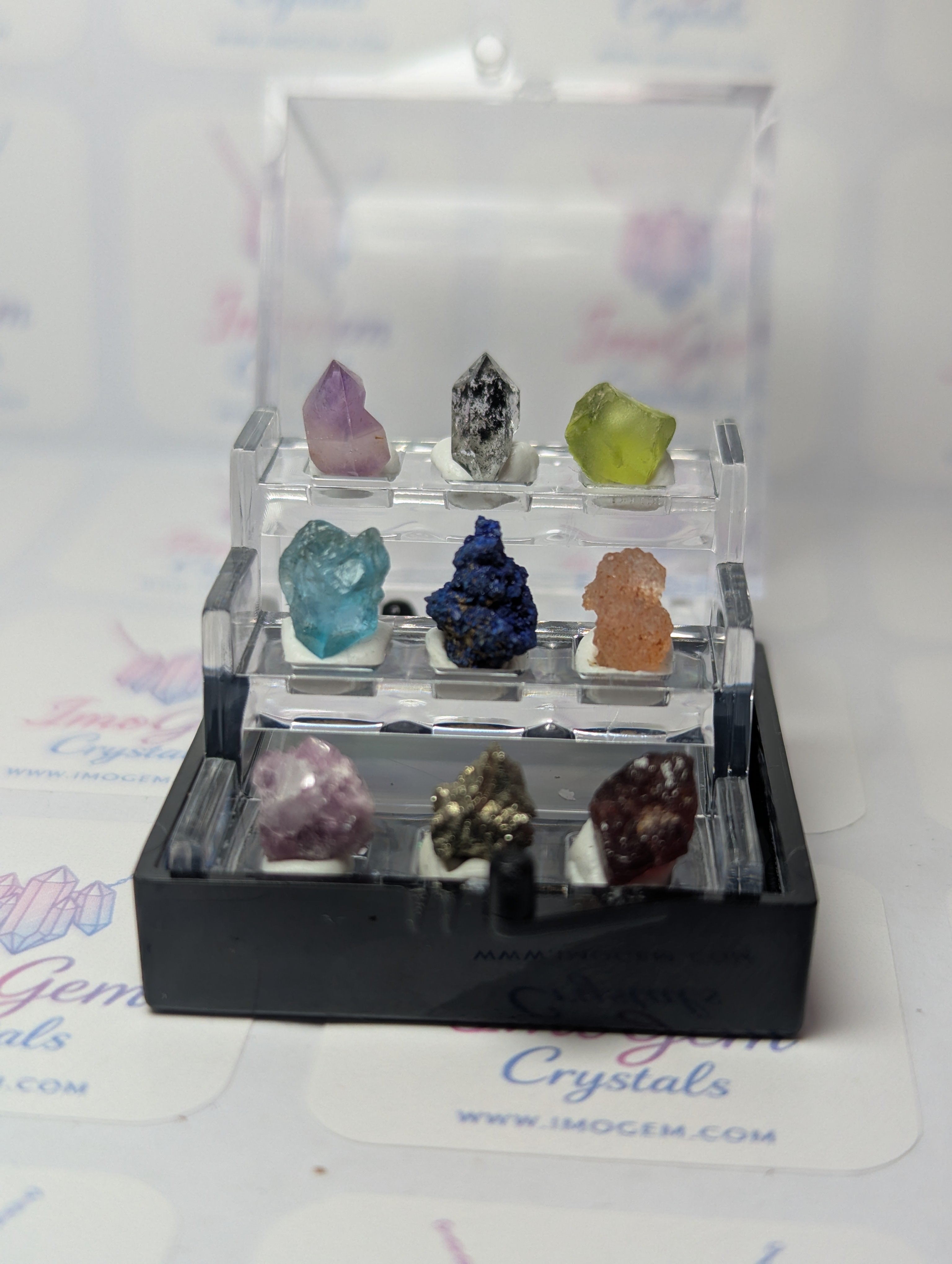 Amazing  mini specimen box