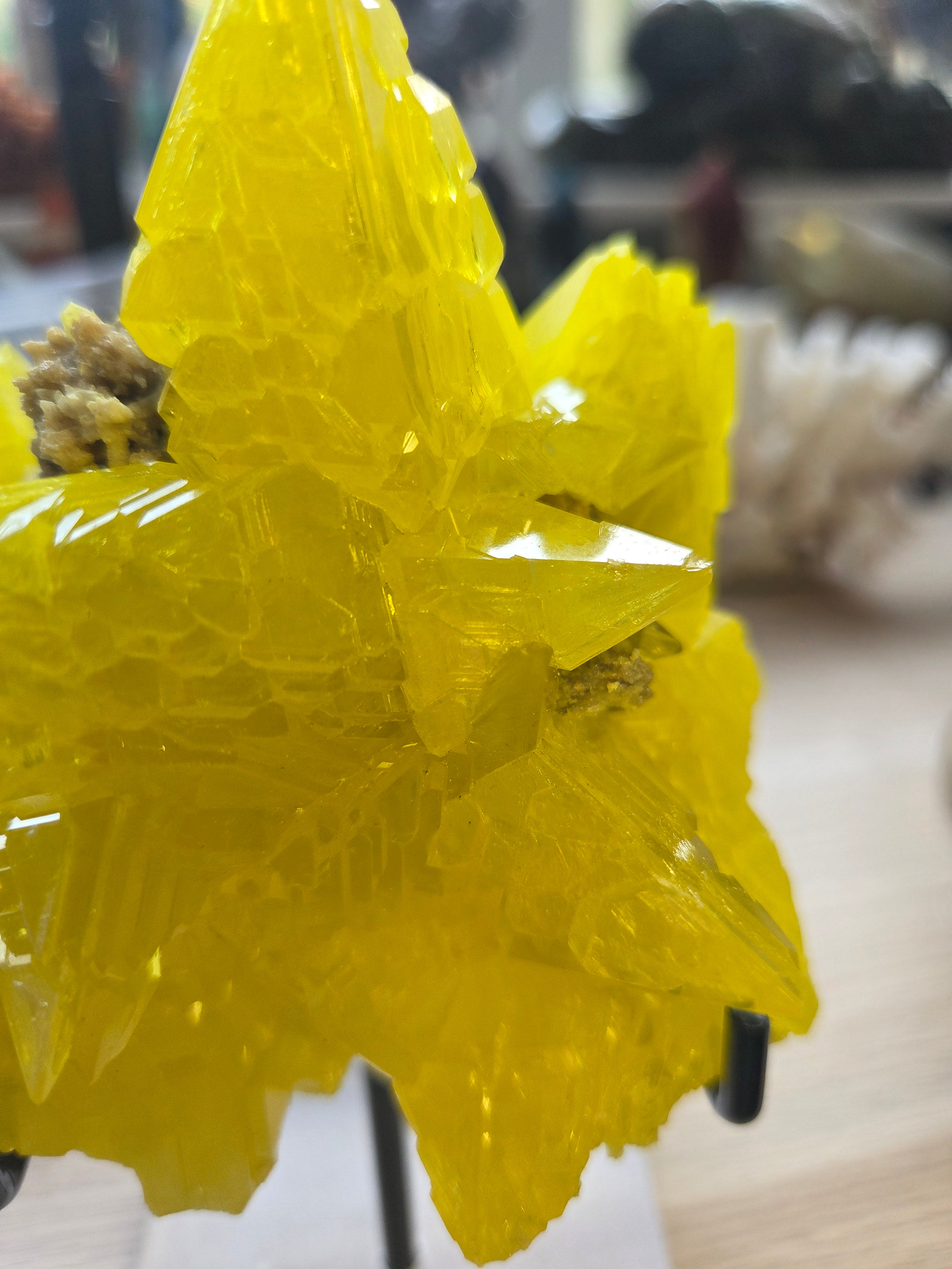 Rare Sulphur specimen with Stand