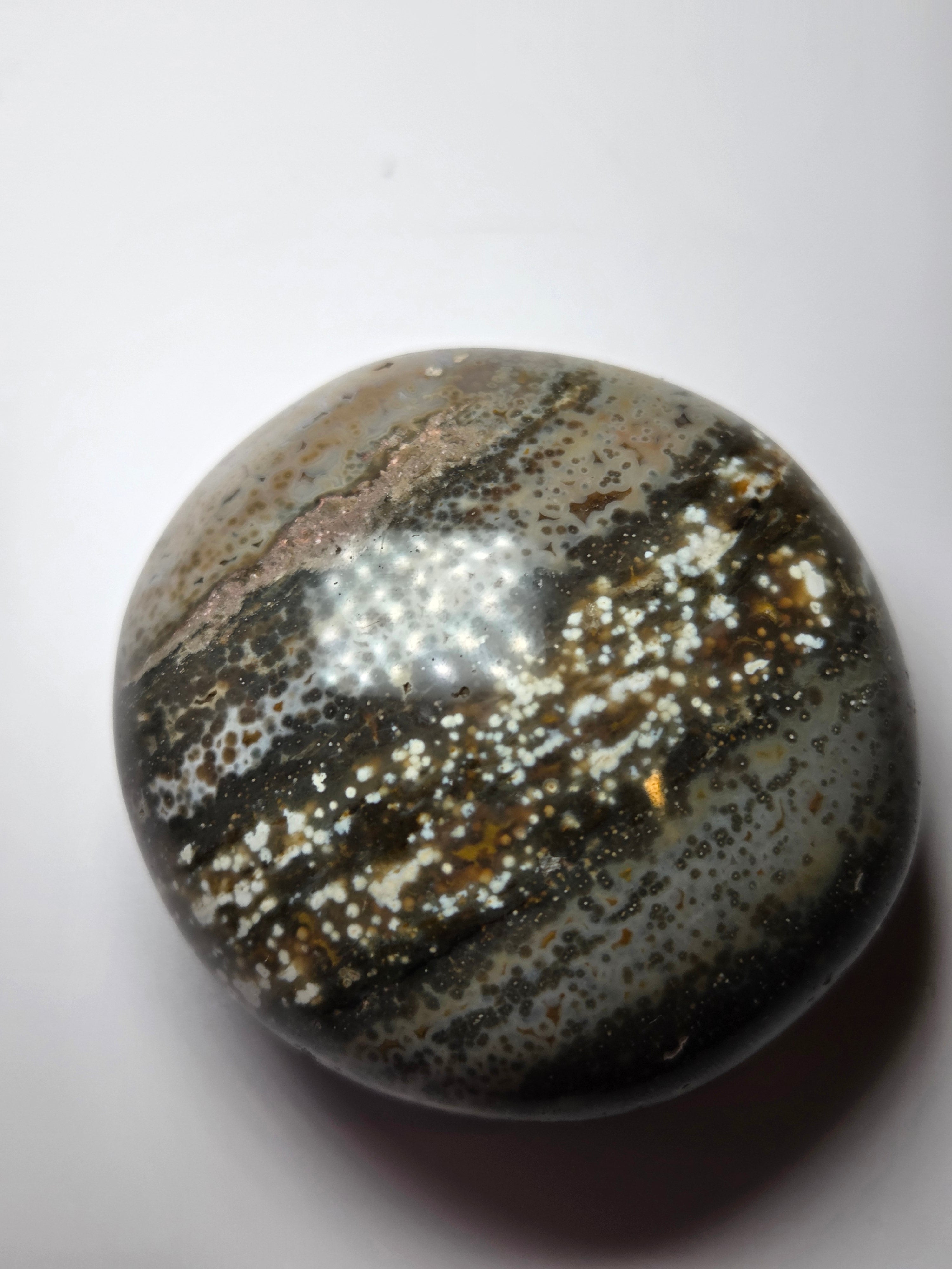 Fish eye crystal palm