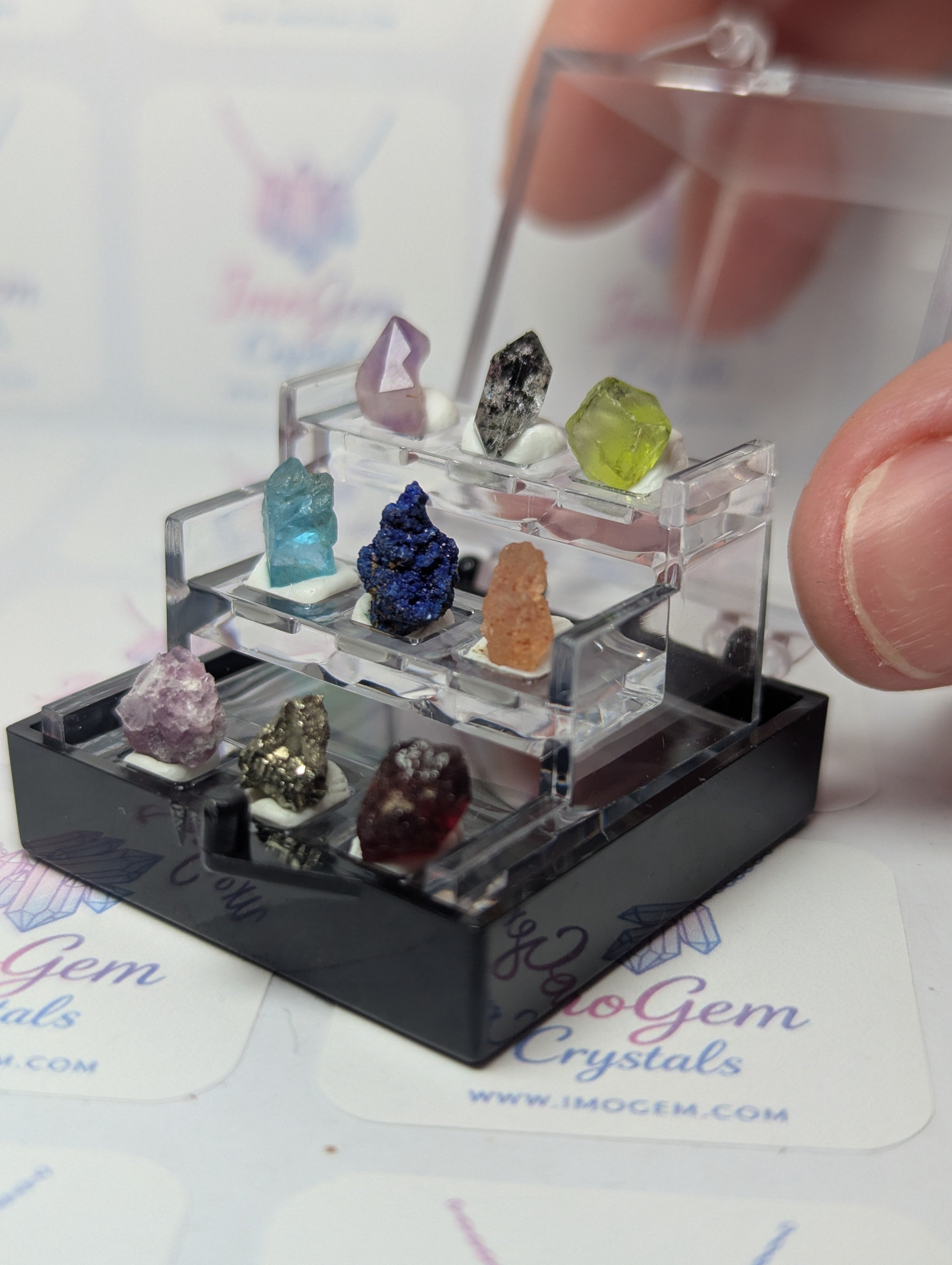 Amazing  mini specimen box