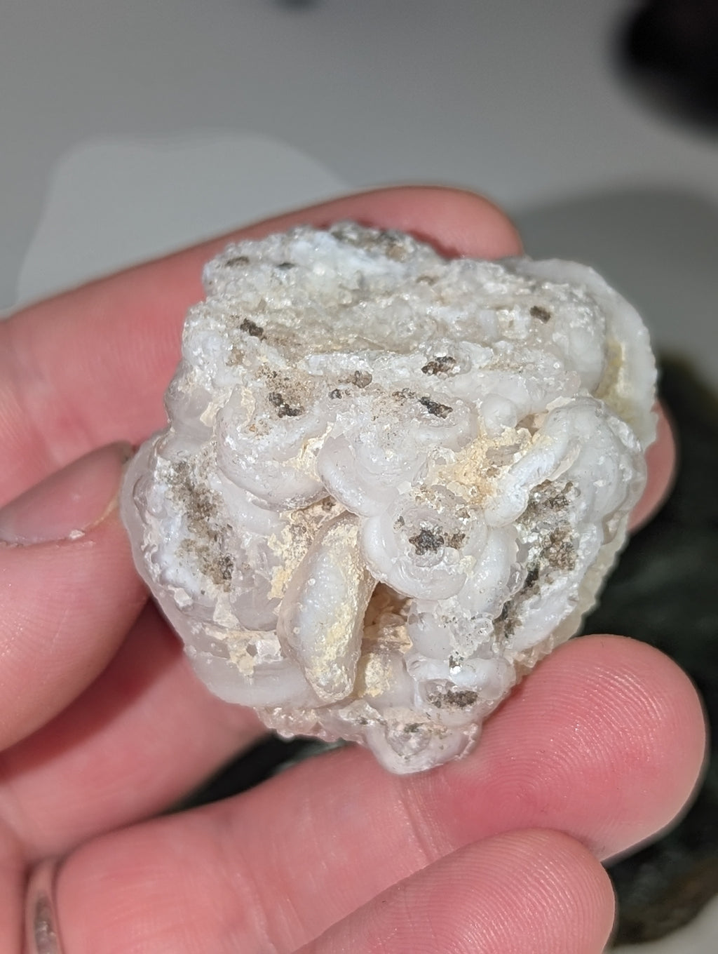 Mexican rose specimen