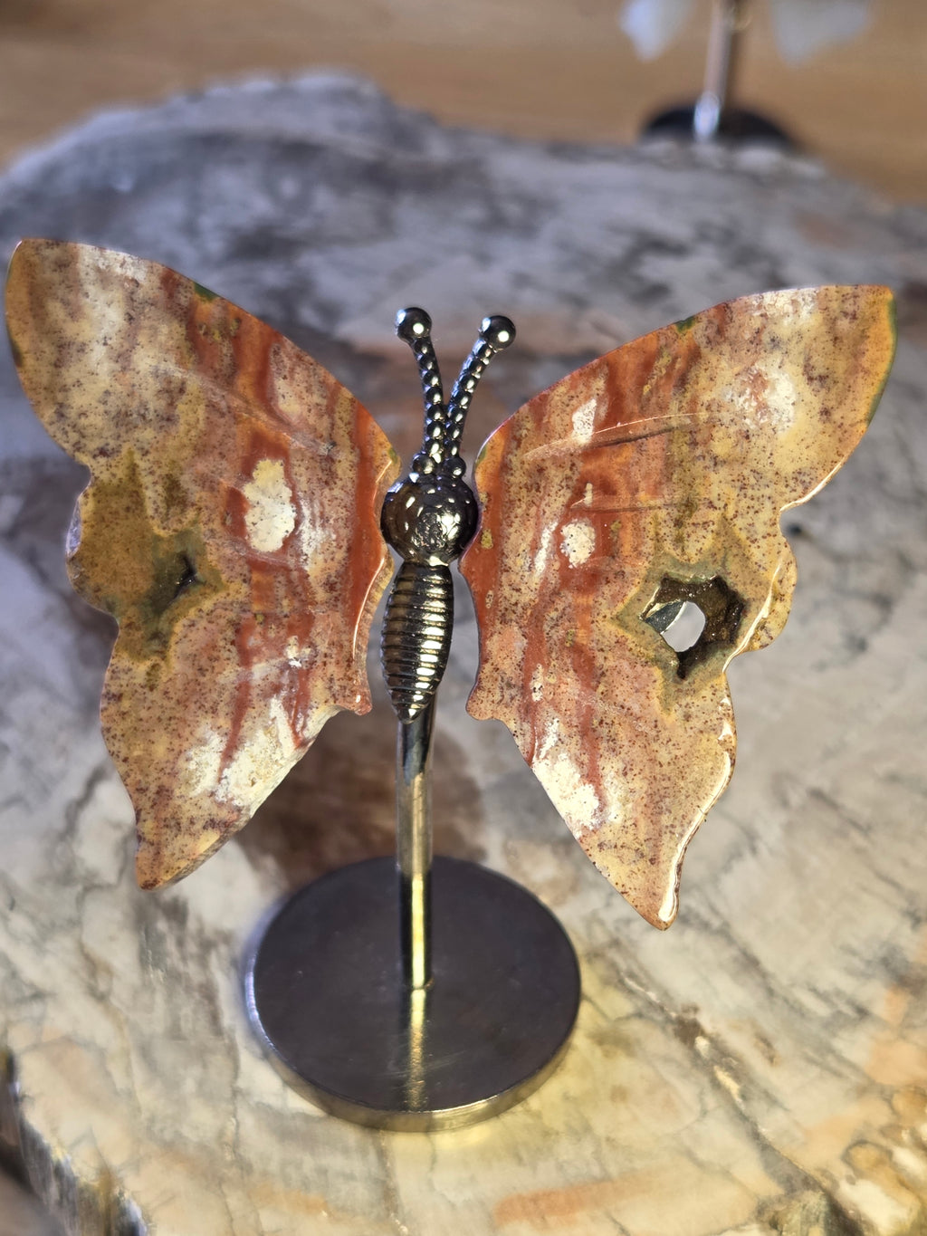 Ocean Jasper crystal butterfly