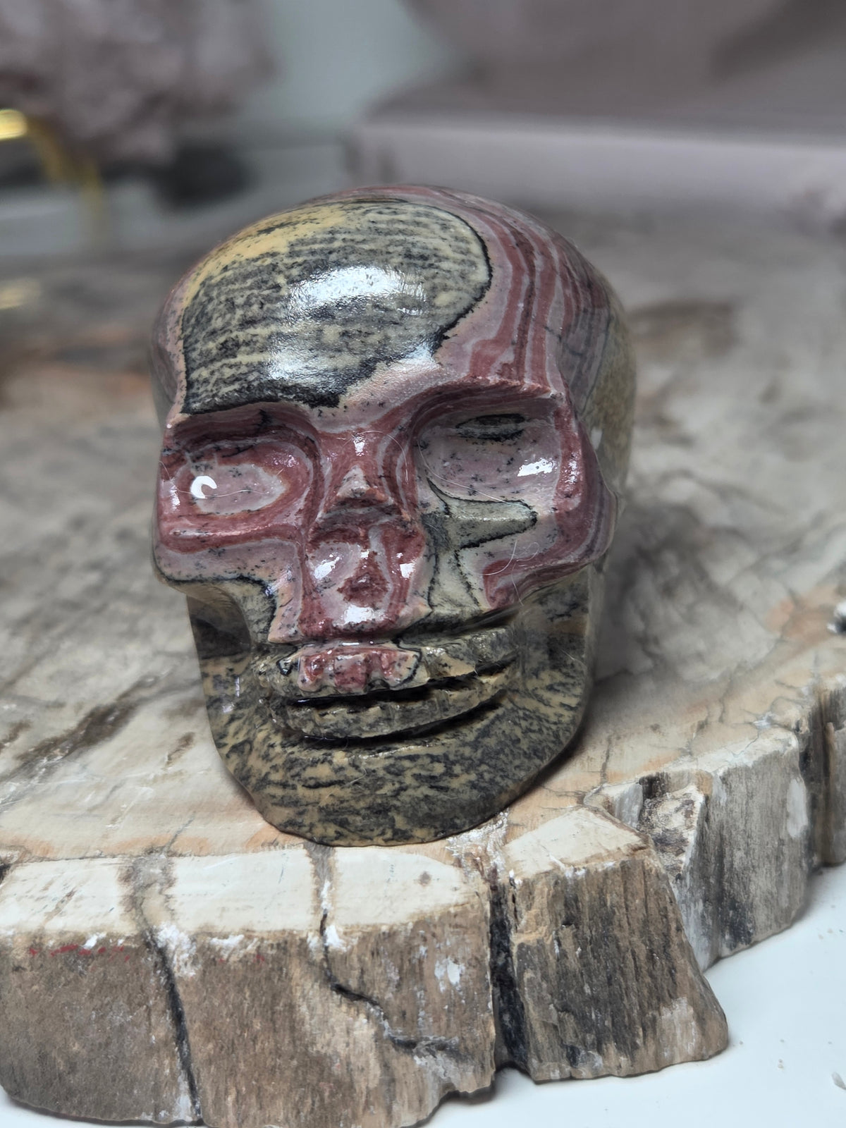 Beautiful picture jasper crystal skull
