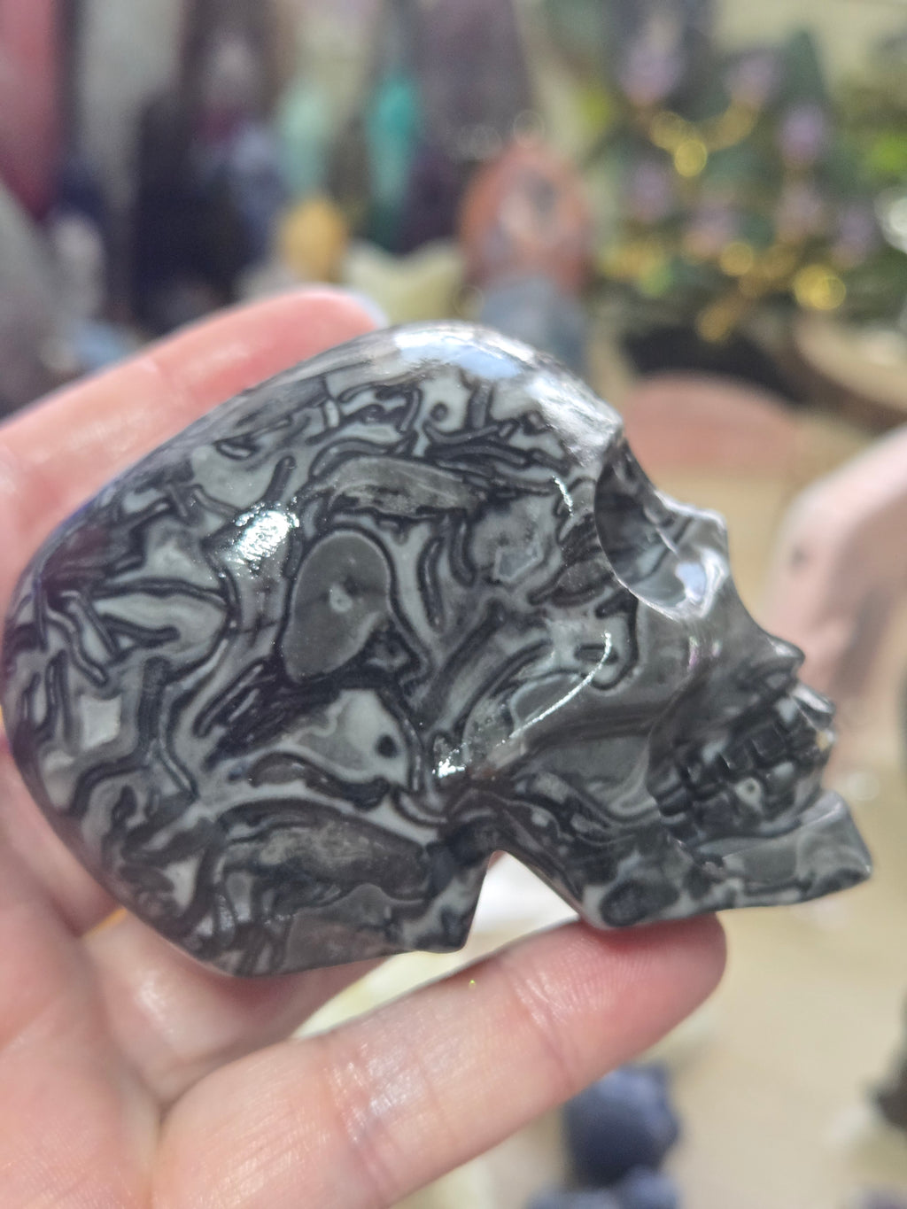 Fossilised coral stone crystal large skull