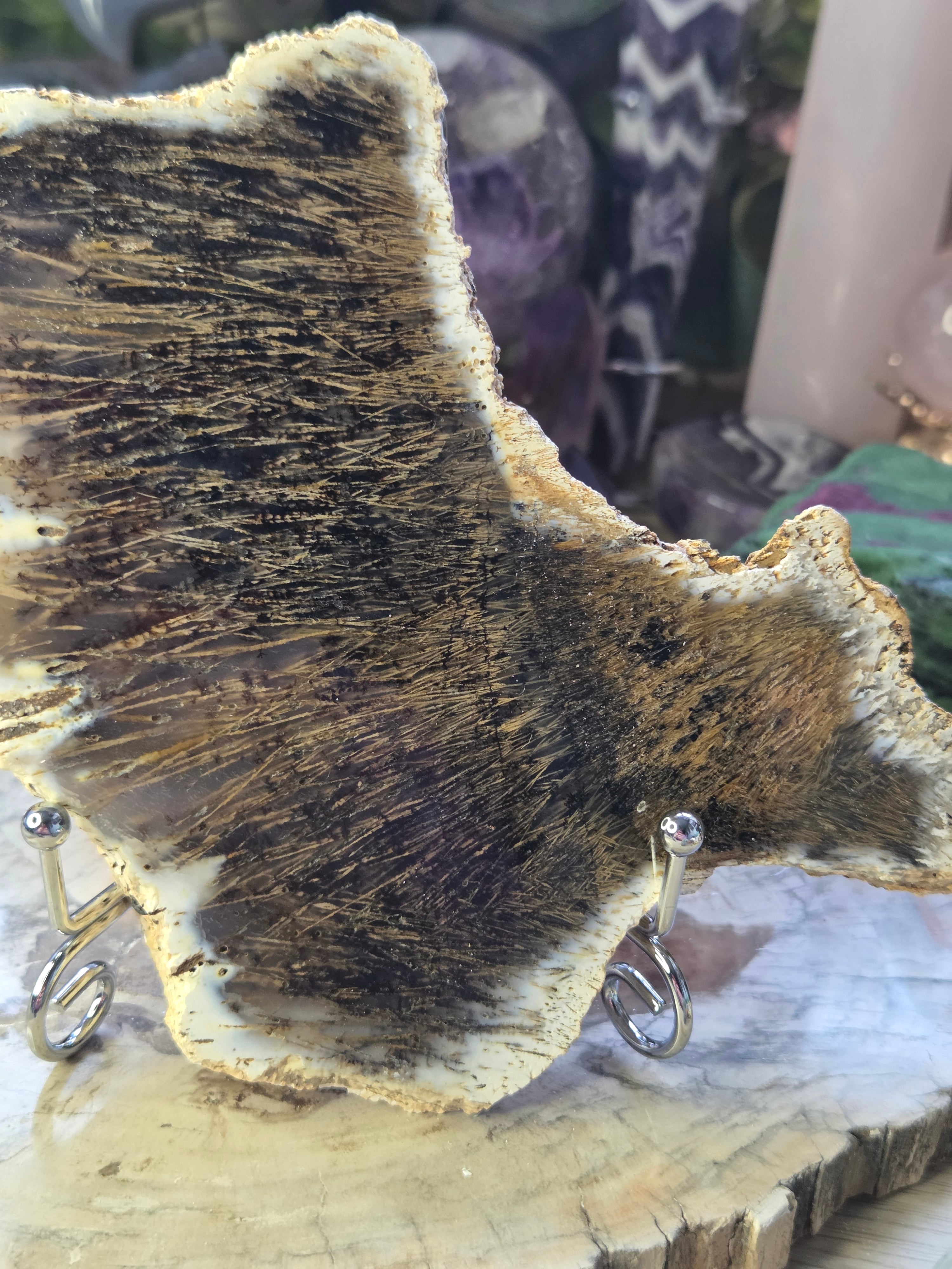 Golden rutile in black agate crystal  slice