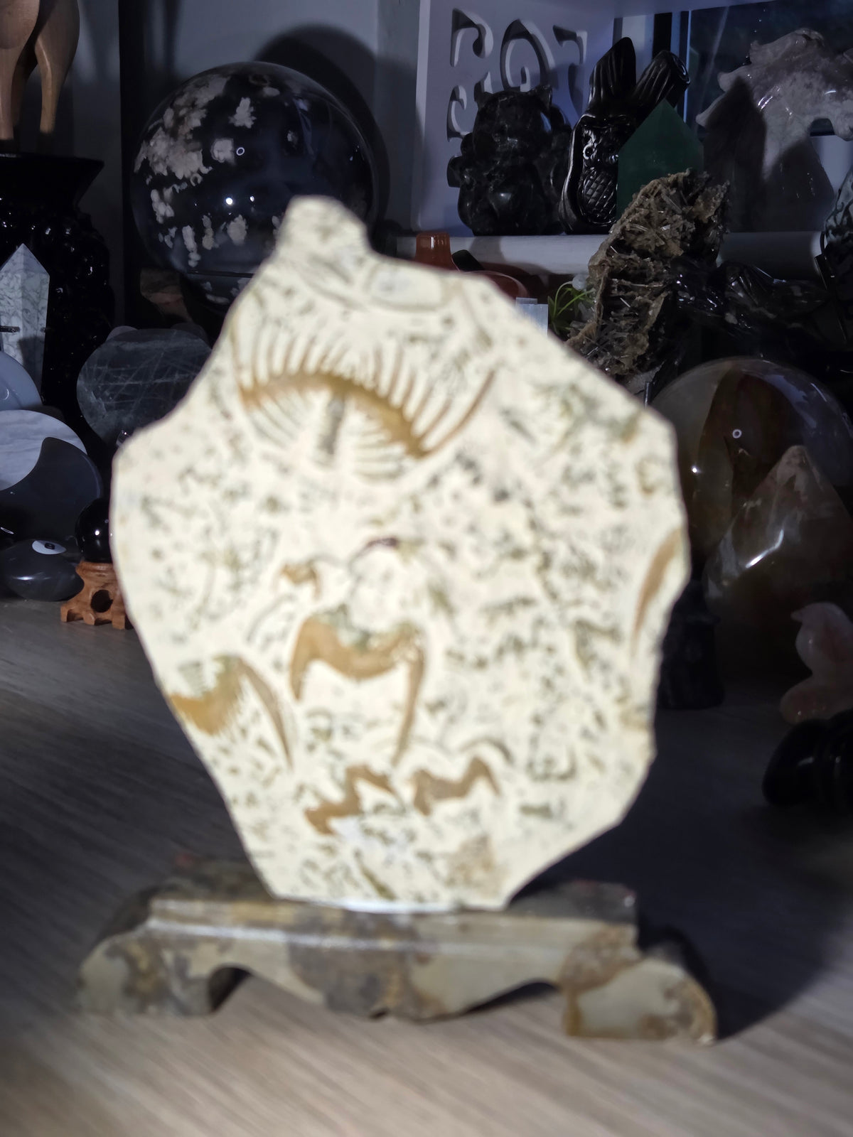 Ancient fossil arthropods called trilobites slab on jade stand