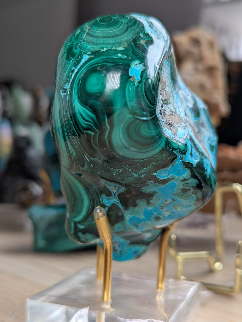 Malacholla freeform with stand