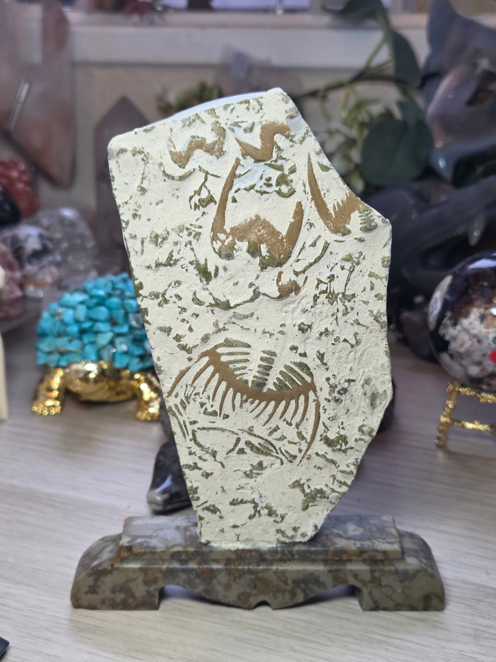 Amazing  Fossil specimen from Provance