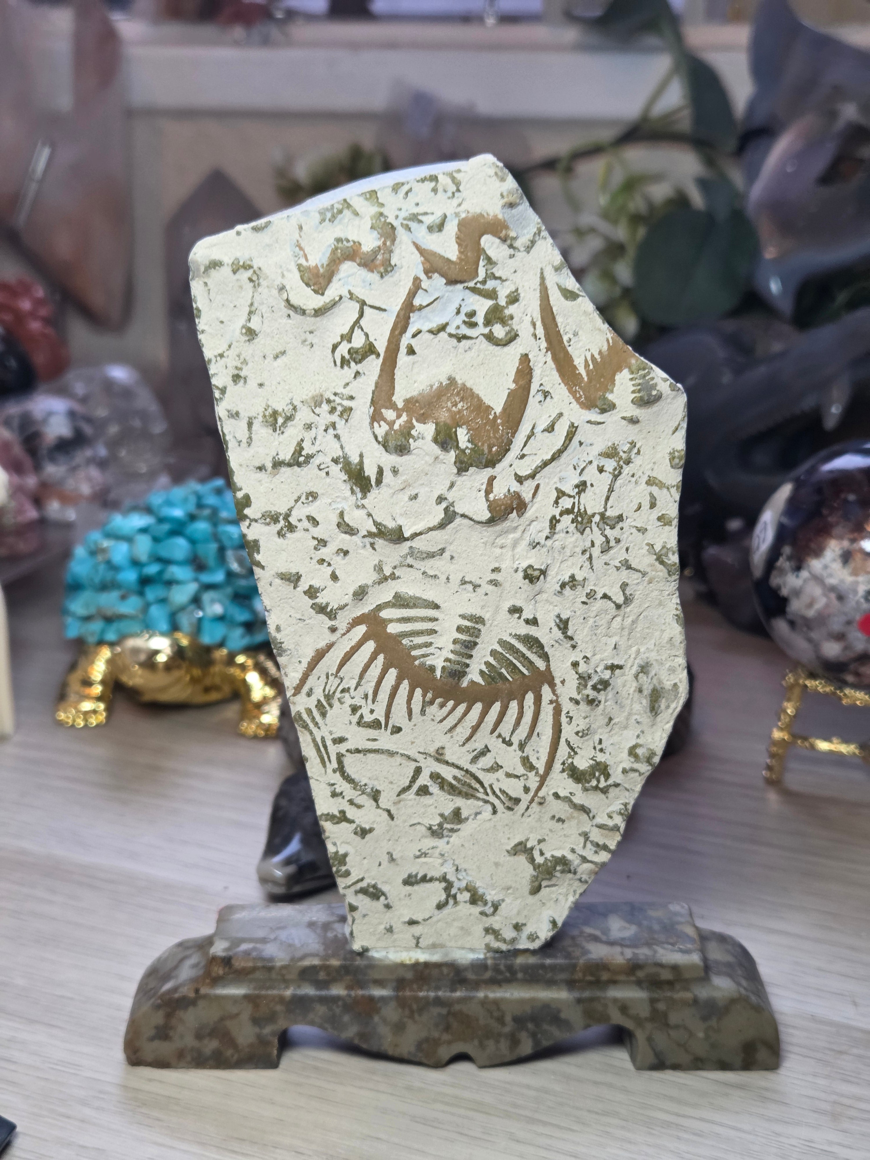 Amazing  Fossil specimen from Provance