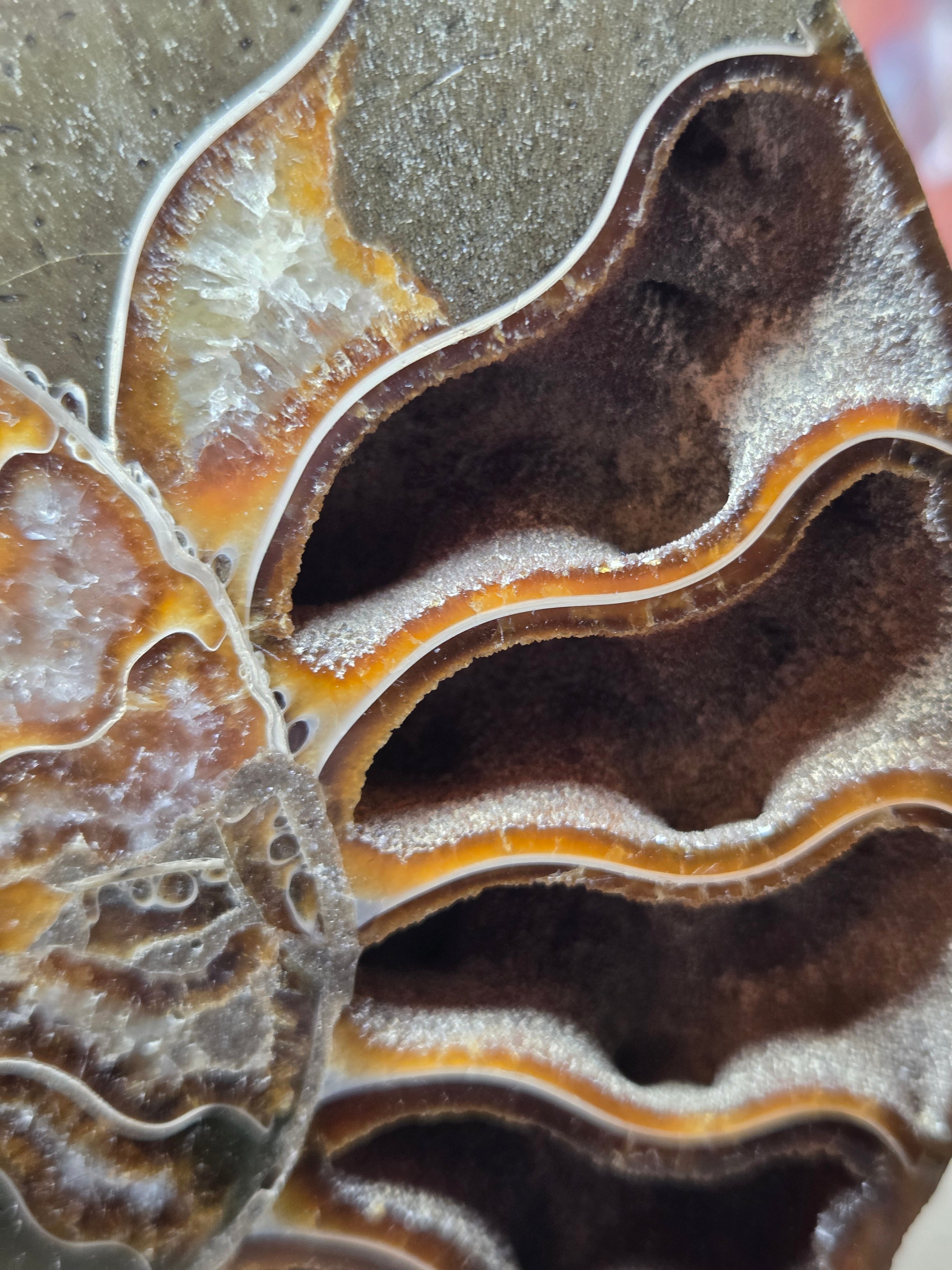 Large Amanite slices with Stands