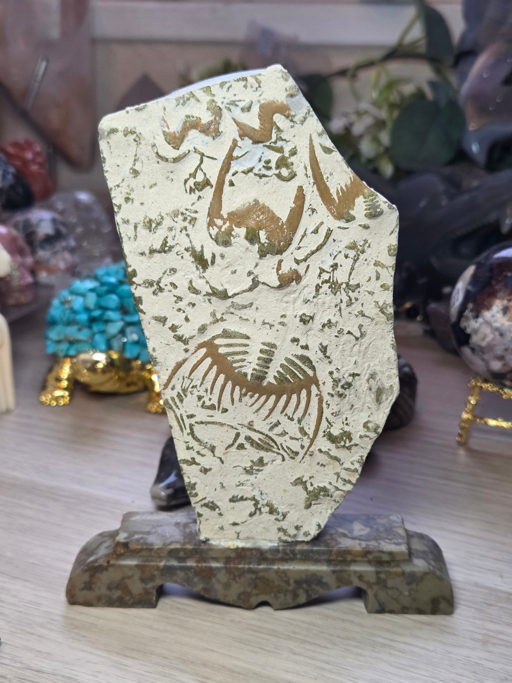 Amazing  Fossil specimen from Provance