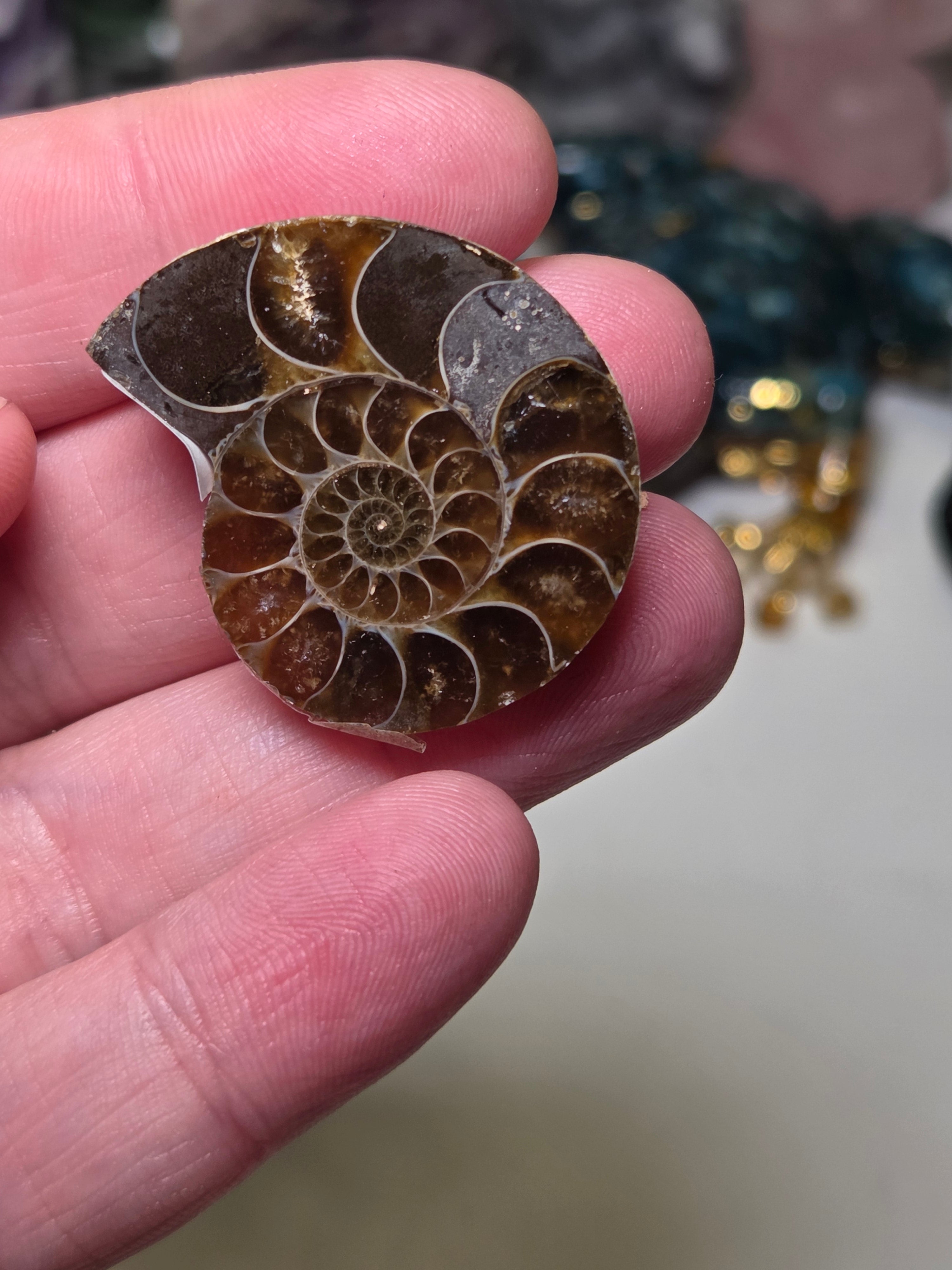 Amanite rainbow shell slice