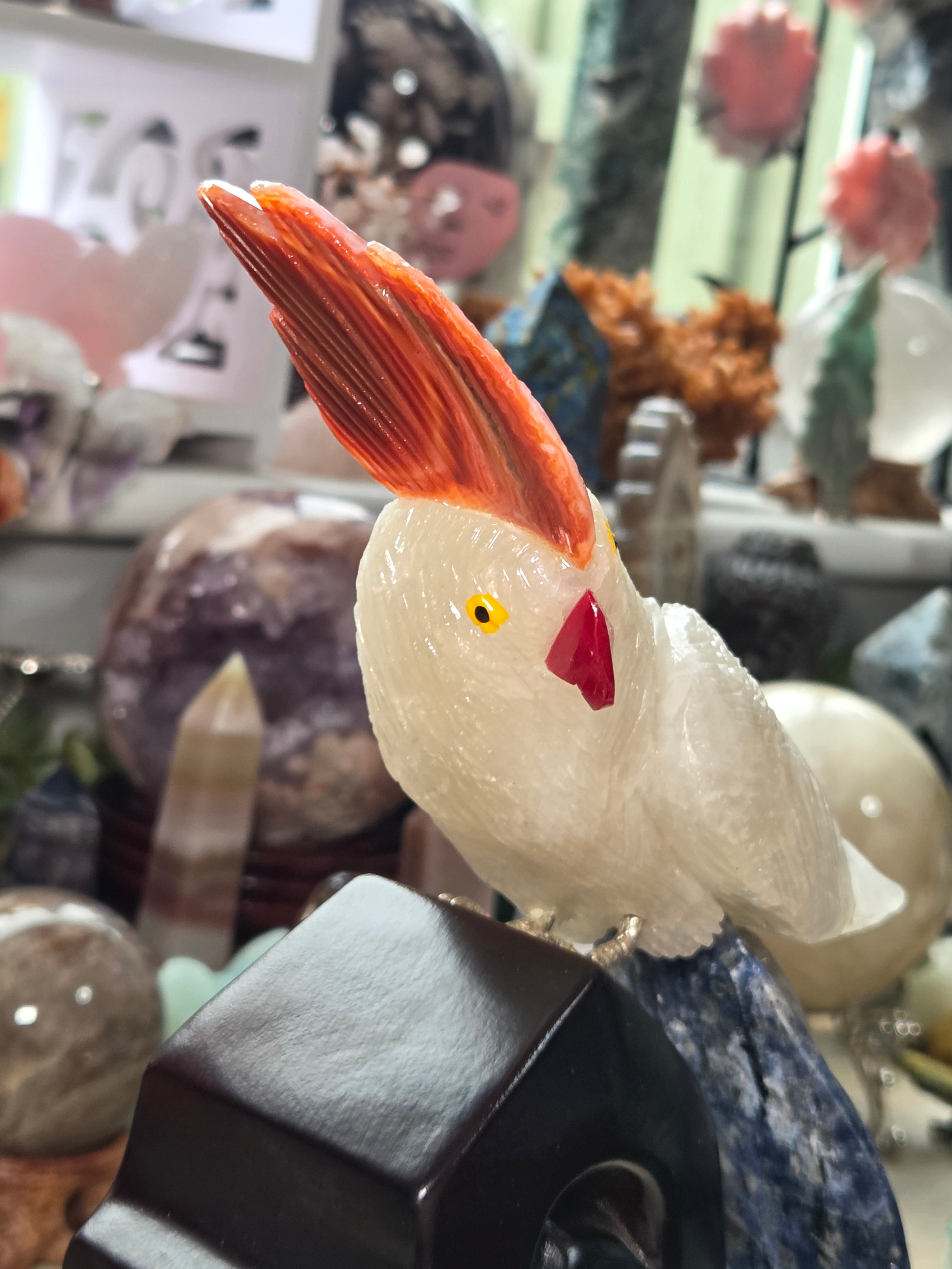 Amazing clear quartz crystal parrot with red agate and sodalite with custom stand