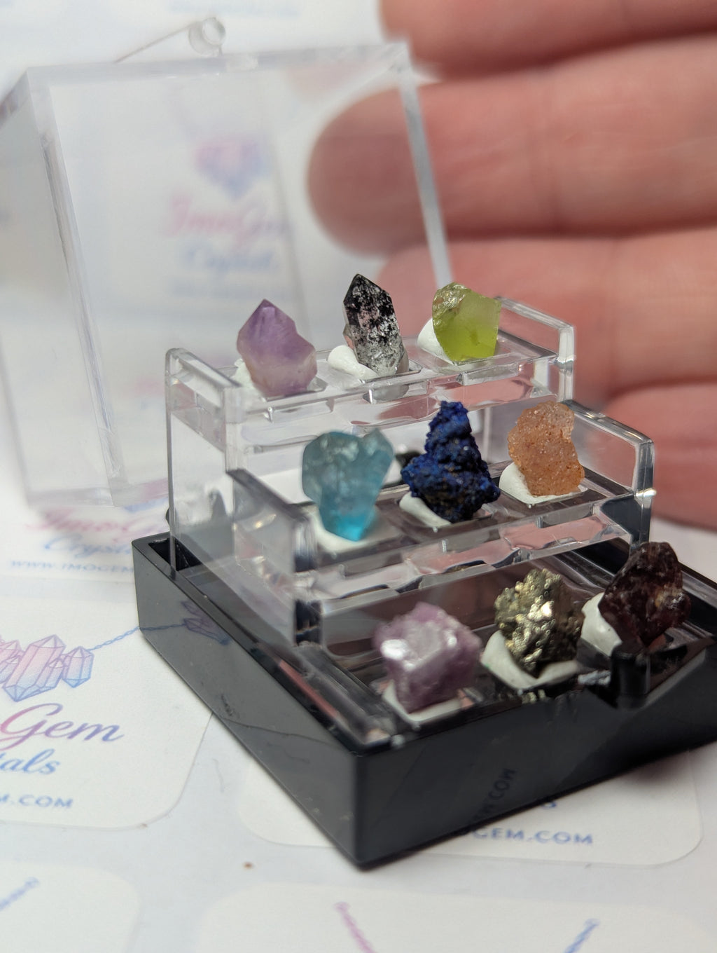 Amazing  mini specimen box