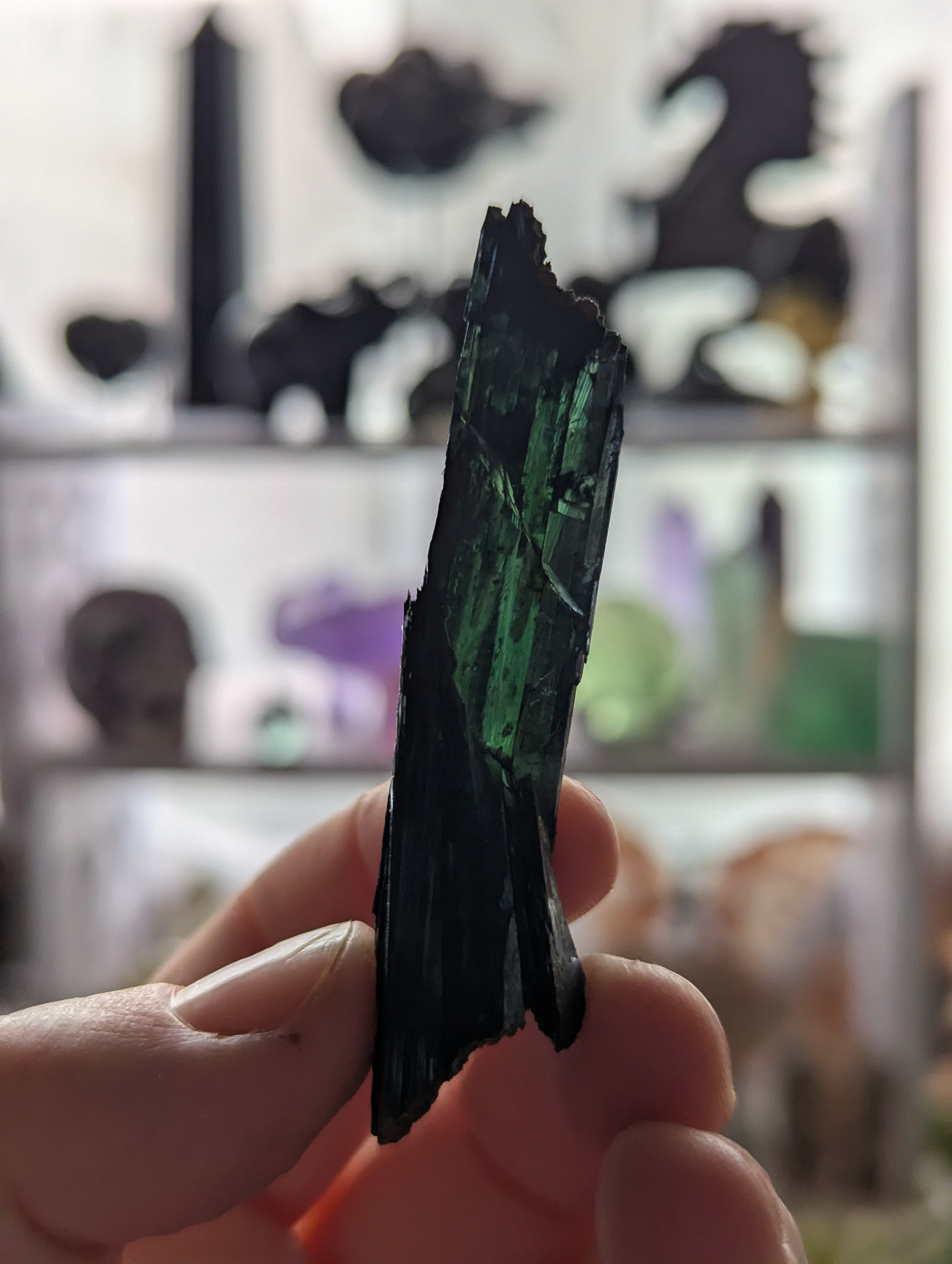 Vivianite specimen in box