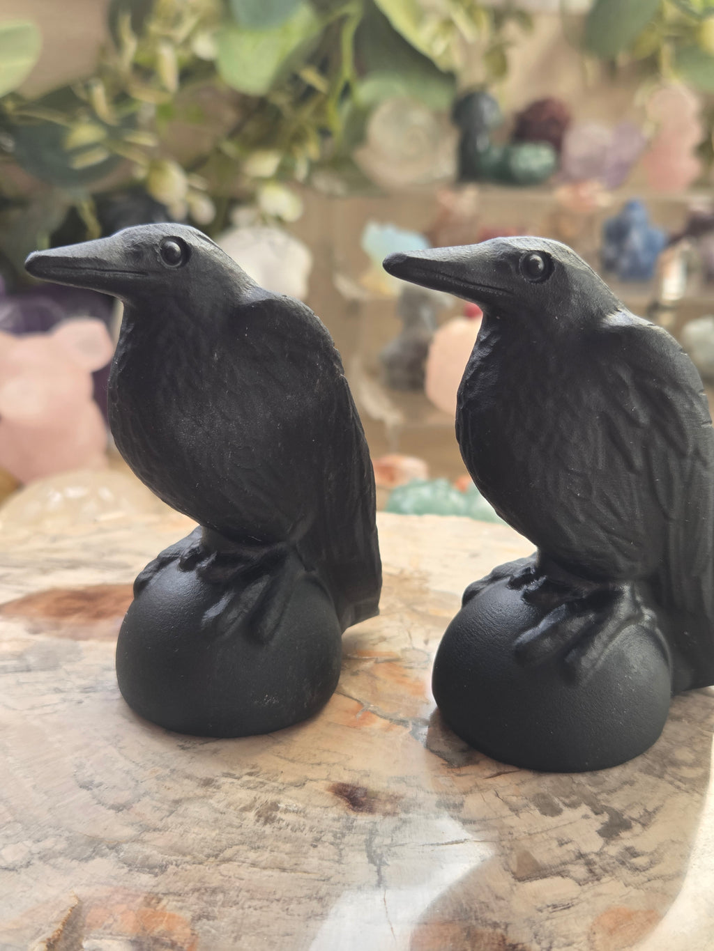 Odin Ravens set of 2
