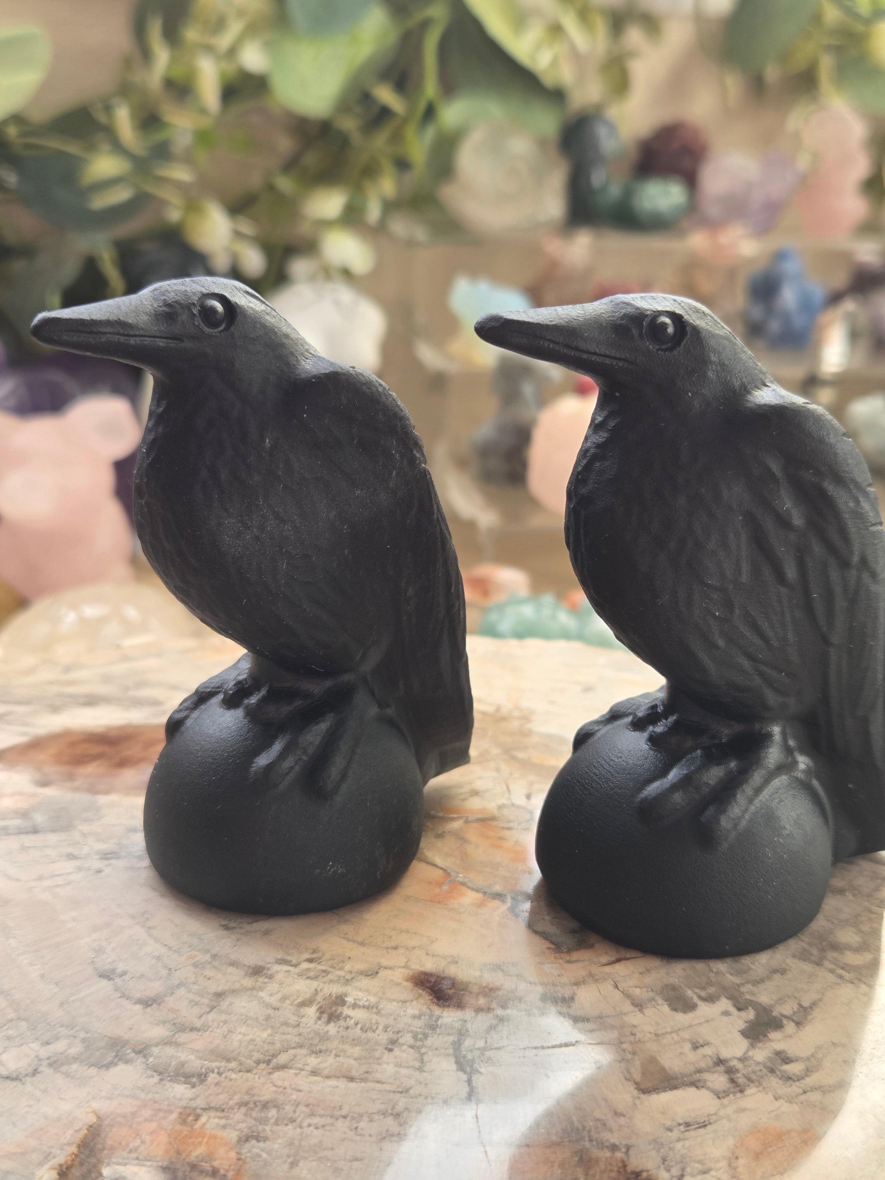 Odin Ravens set of 2