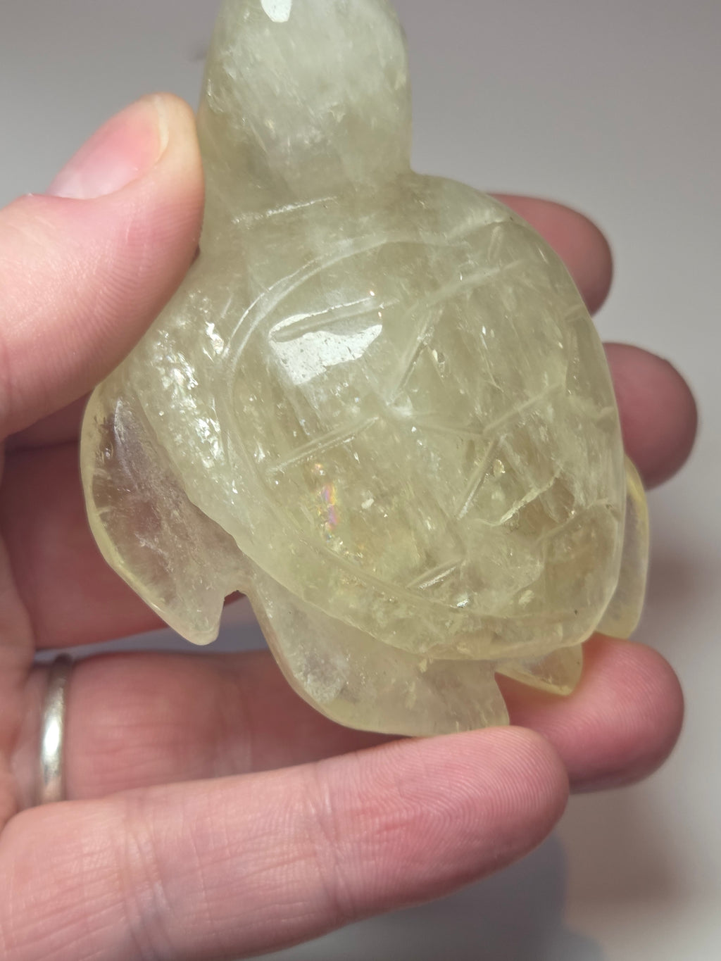Citrein crystal turtle carving