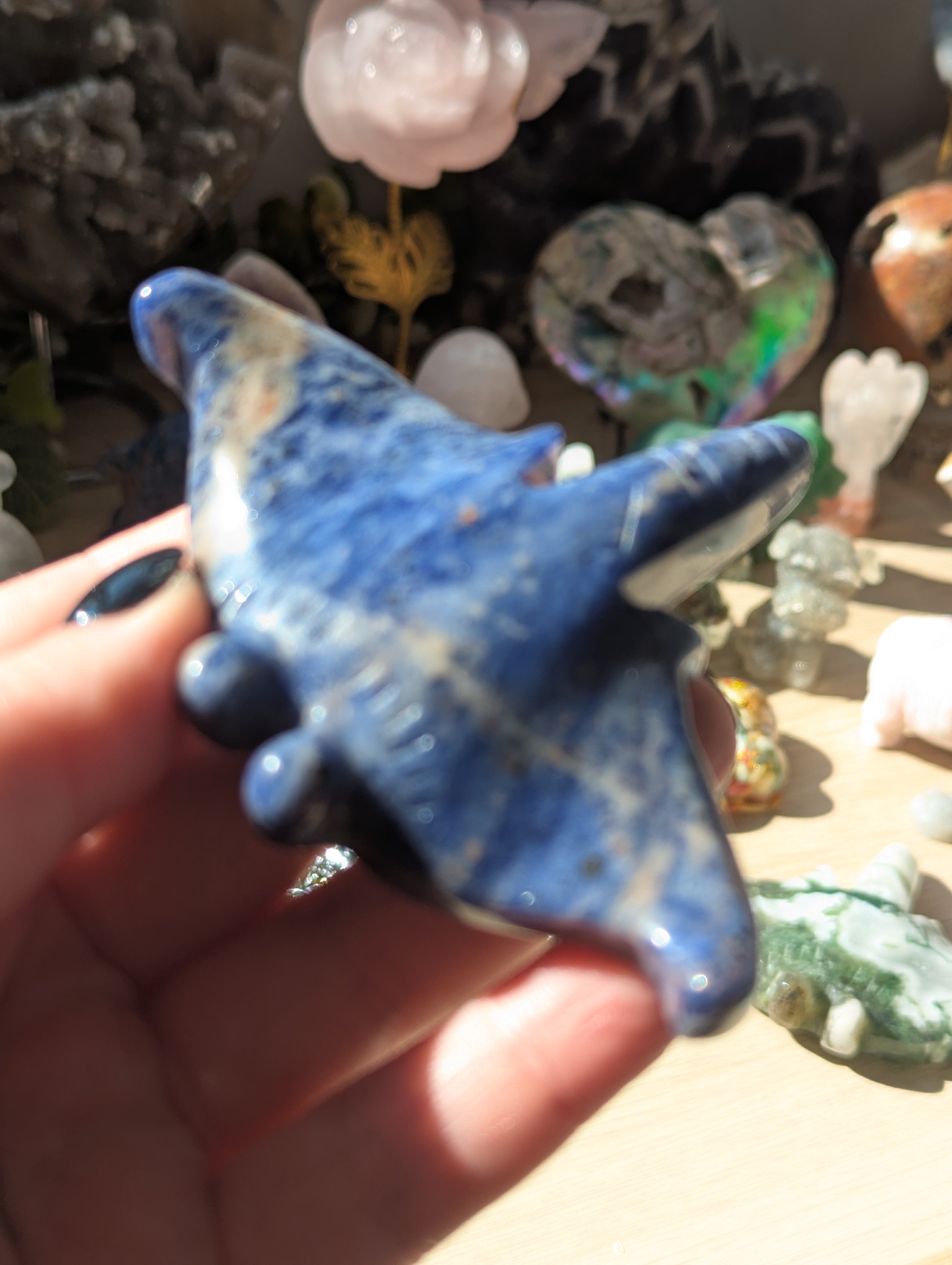 Stingray carving