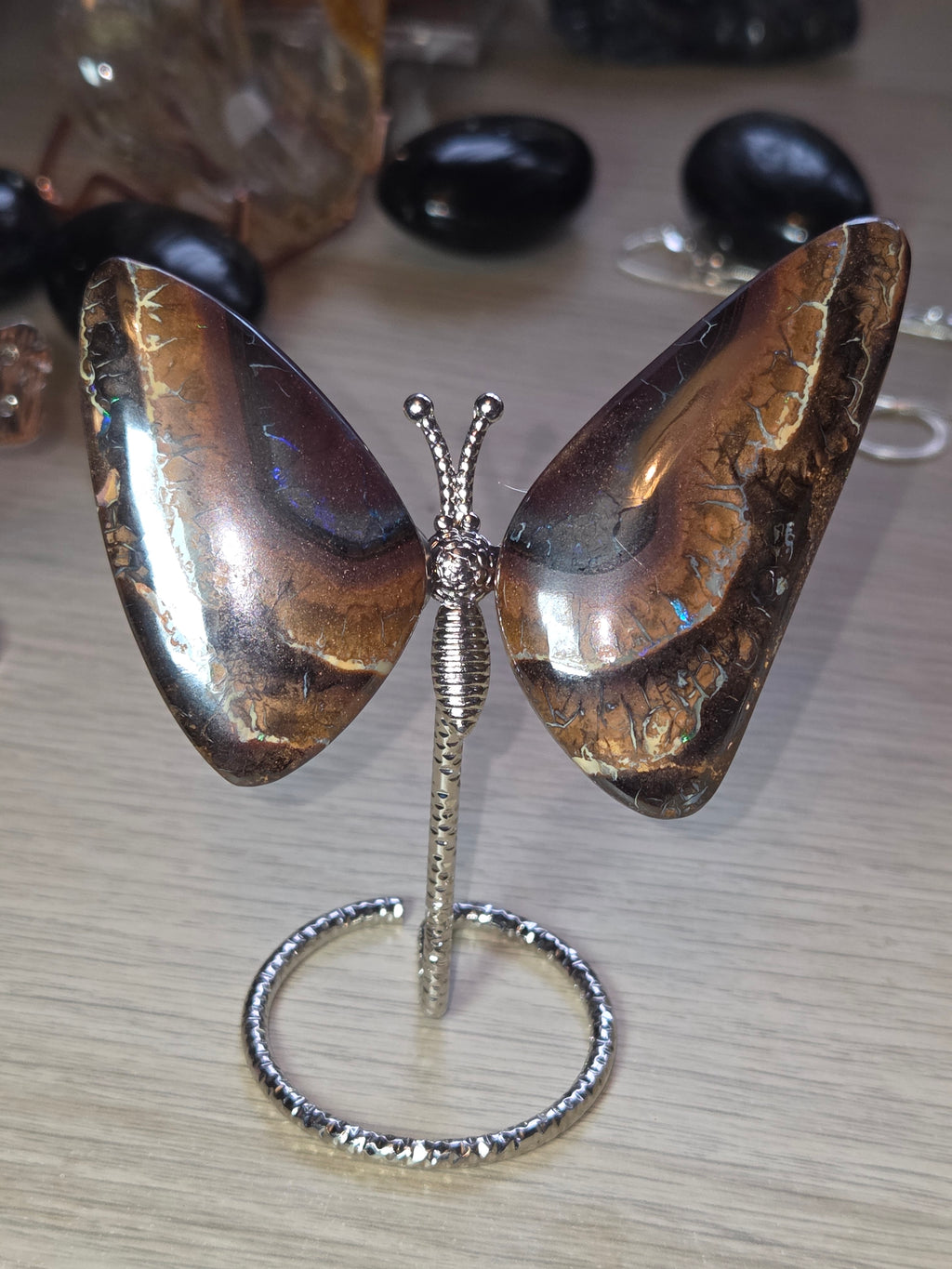 Rare bolder opal crystal butterfly and cut and polished