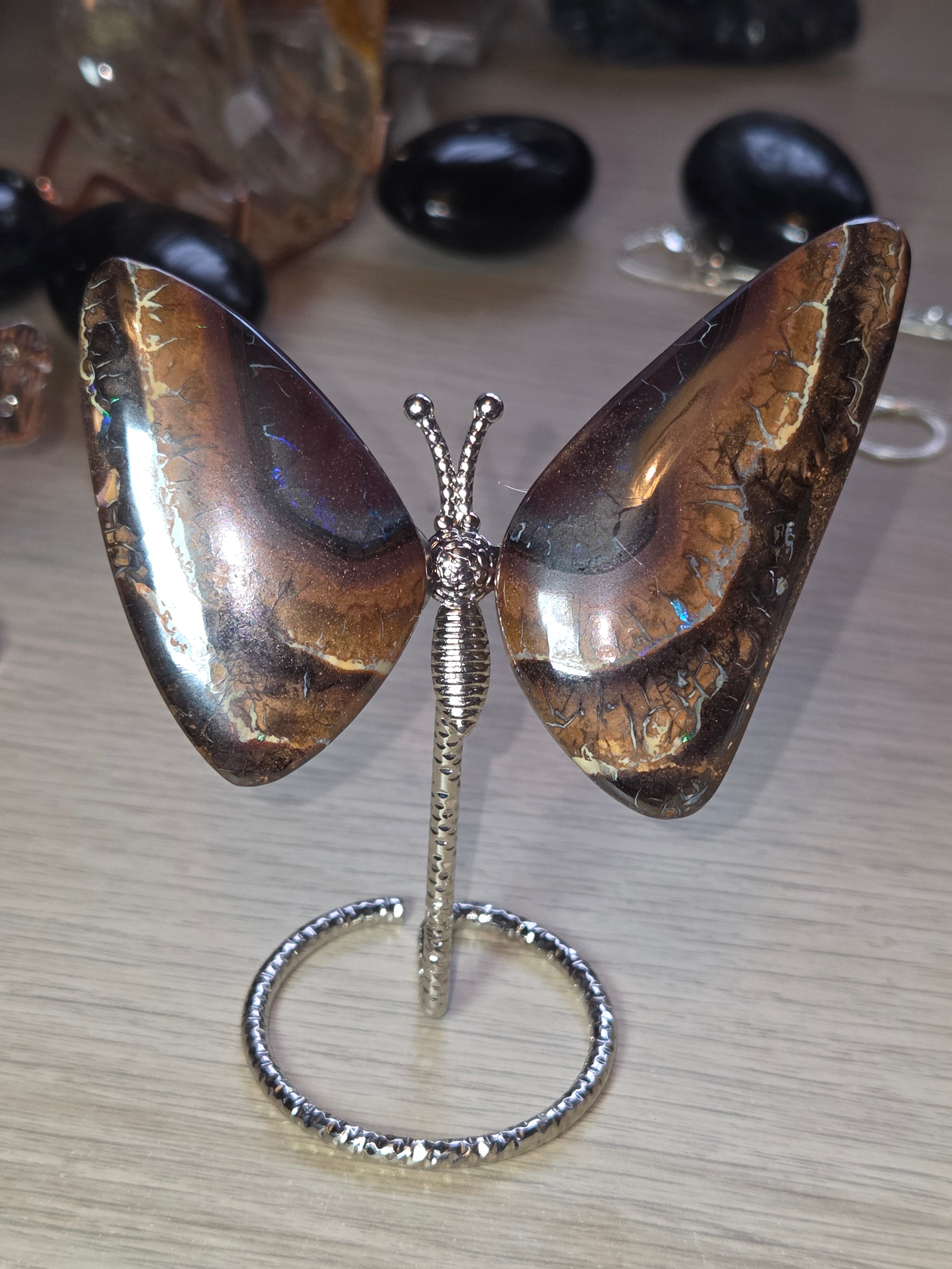 Rare bolder opal crystal butterfly and cut and polished