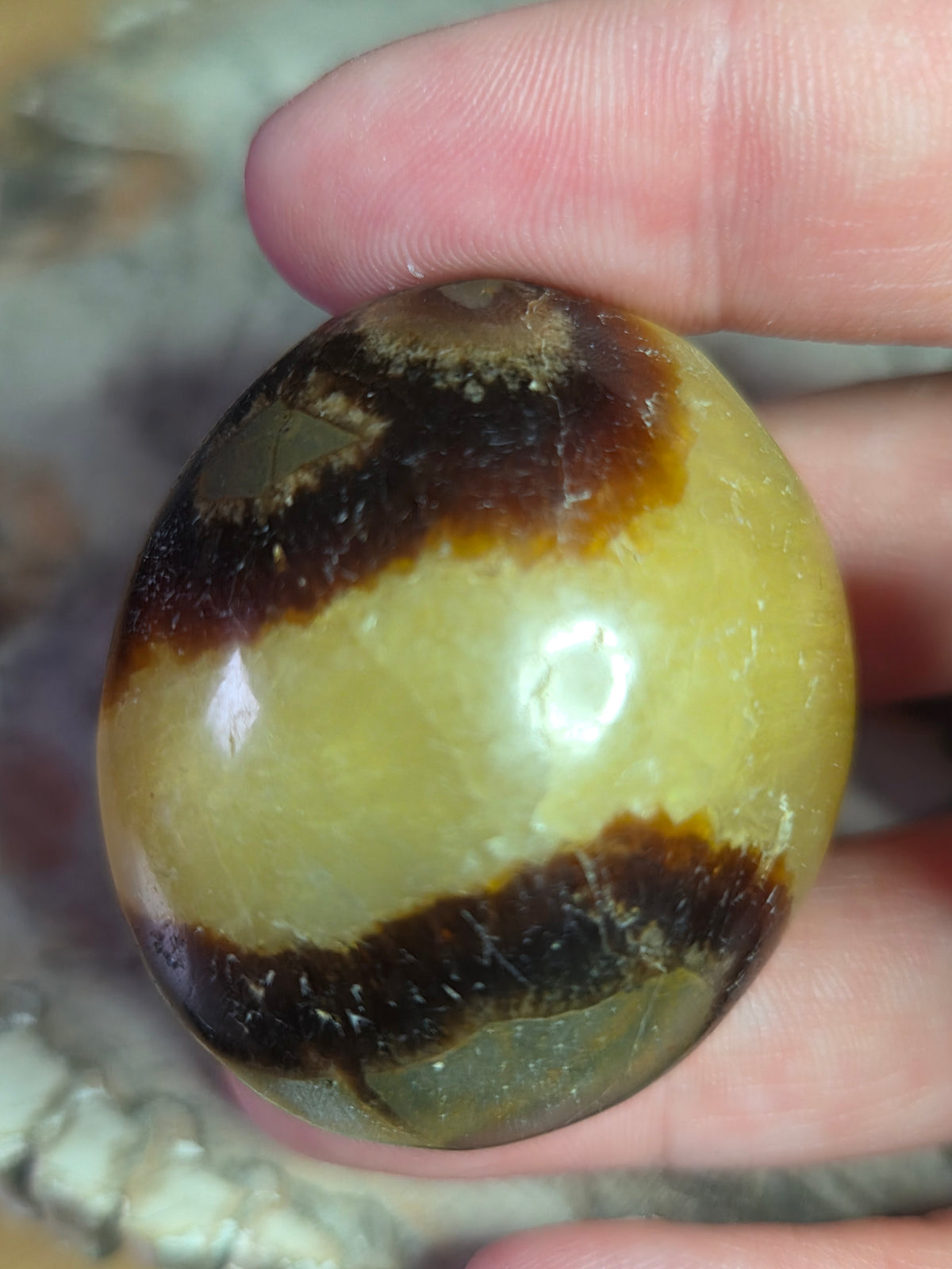 Septerian crystal palm stone