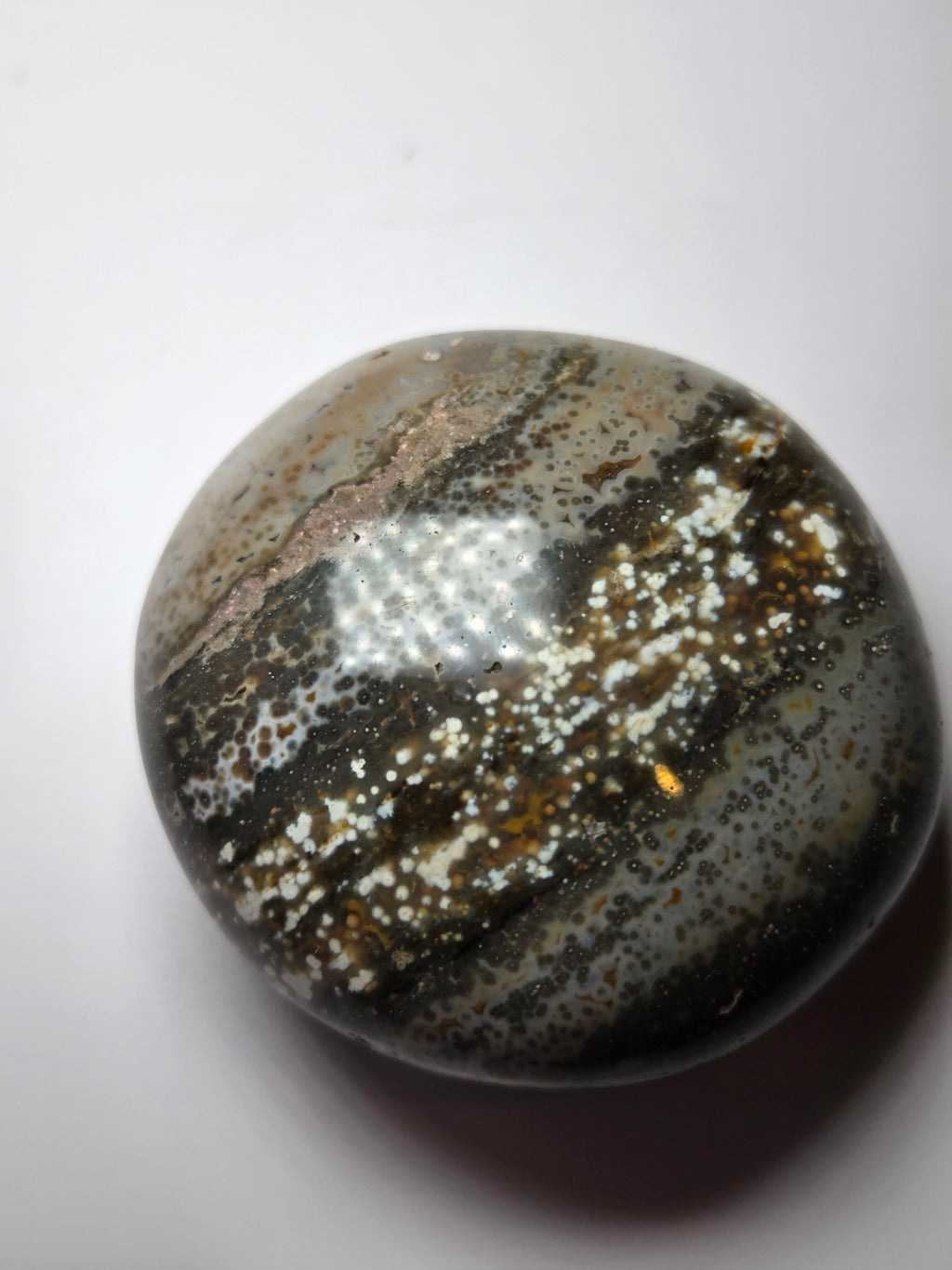 Fish eye crystal palm