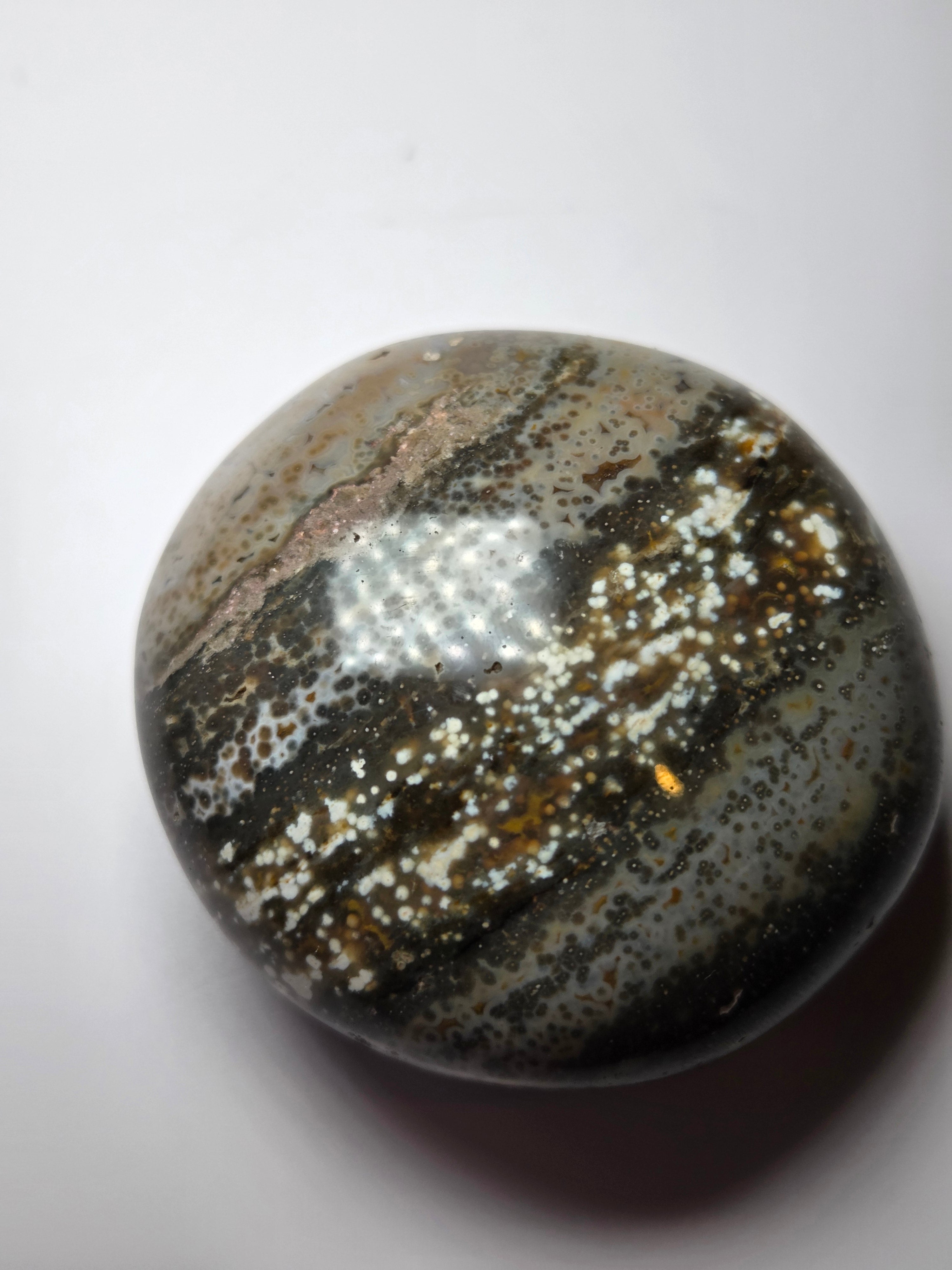 Fish eye crystal palm