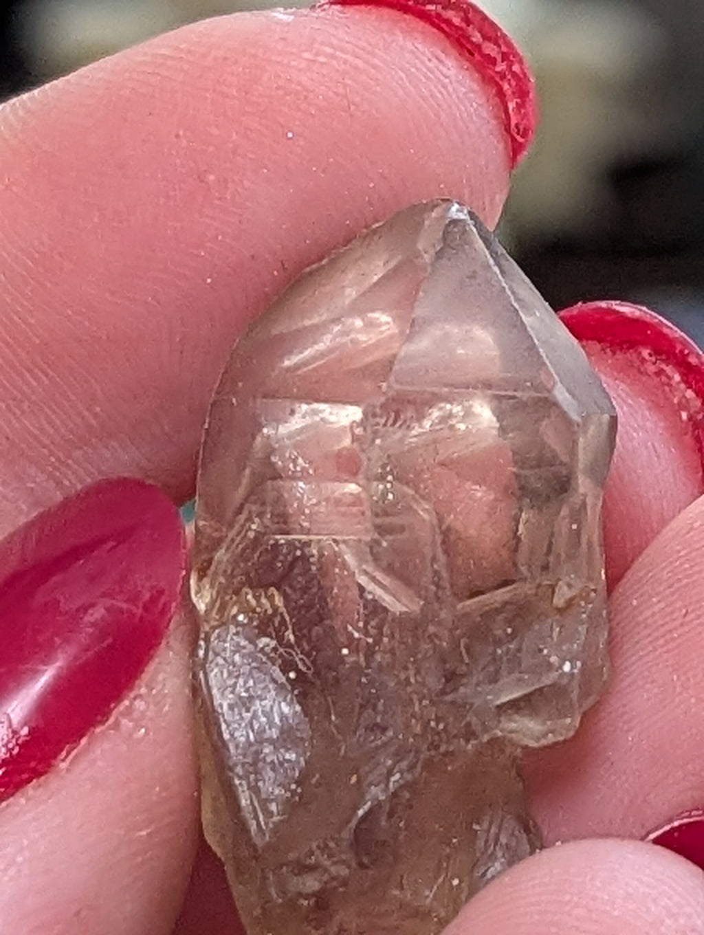 Smokey  Cruz quartz crystal specimen in case