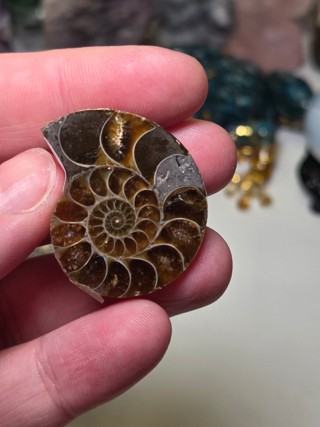 Amanite rainbow shell slice