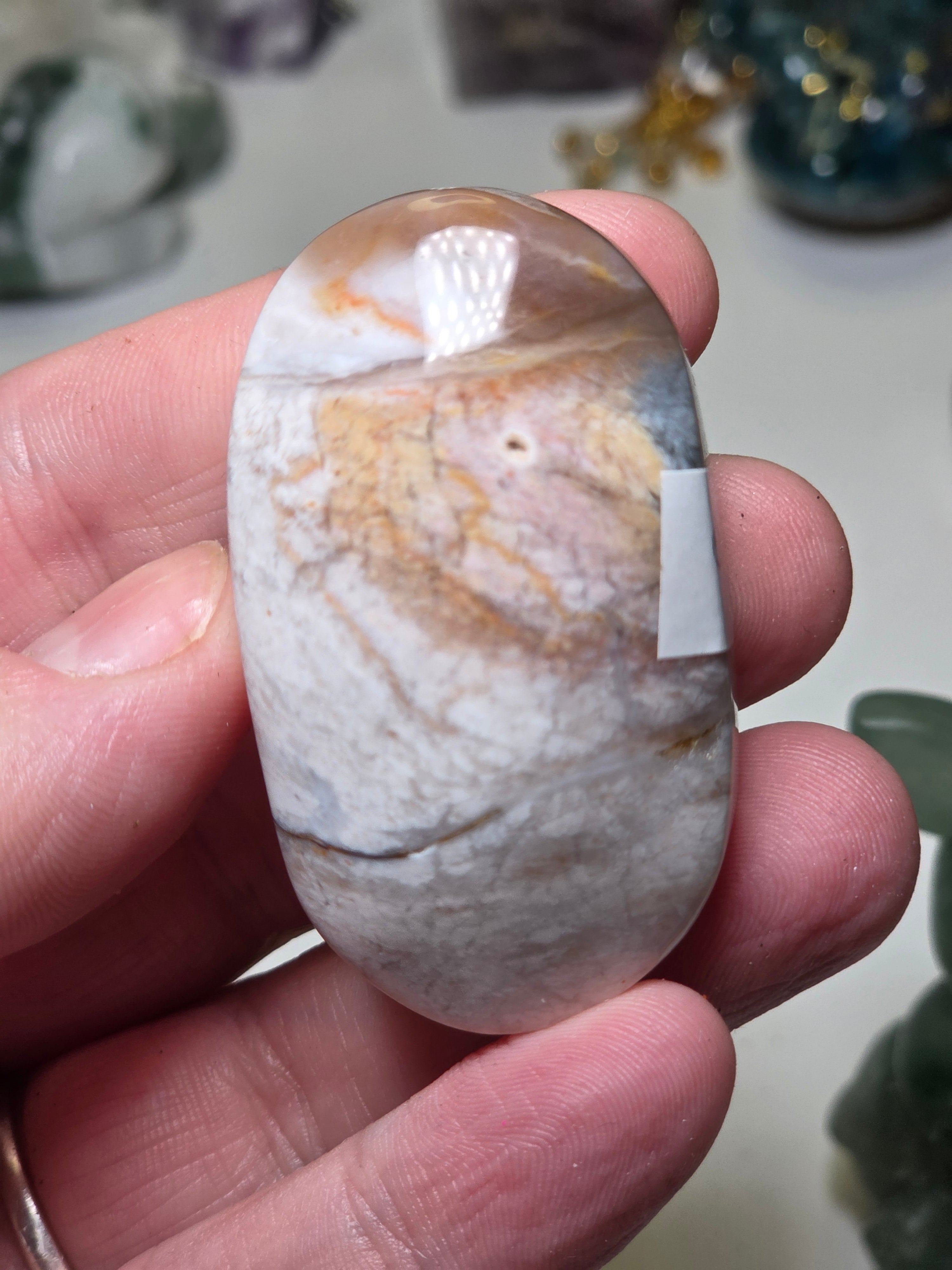 Pink petrified wood crystal palm stone