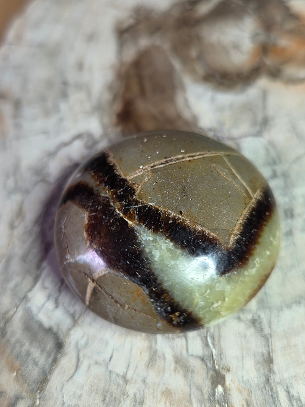 Serpentine crystal small palm stone