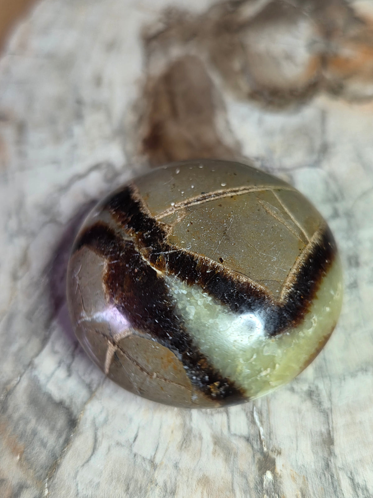 Serpentine crystal small palm stone