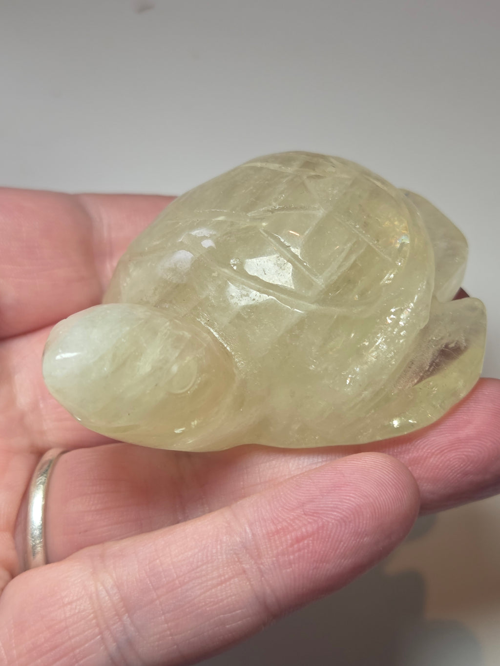 Citrein crystal turtle carving
