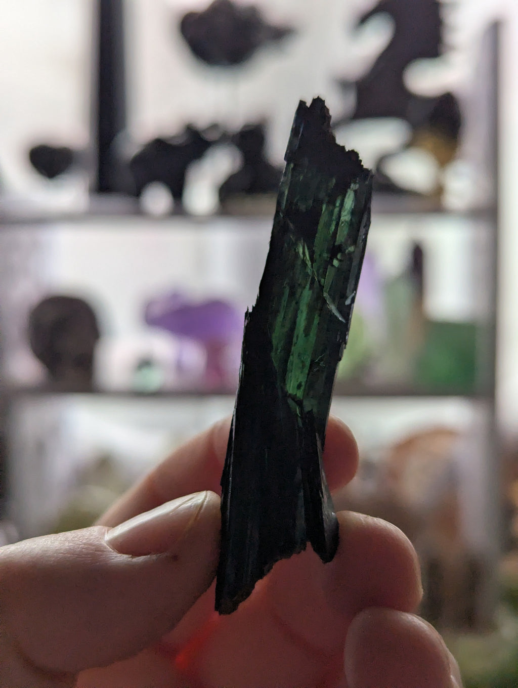 Vivianite specimen in box