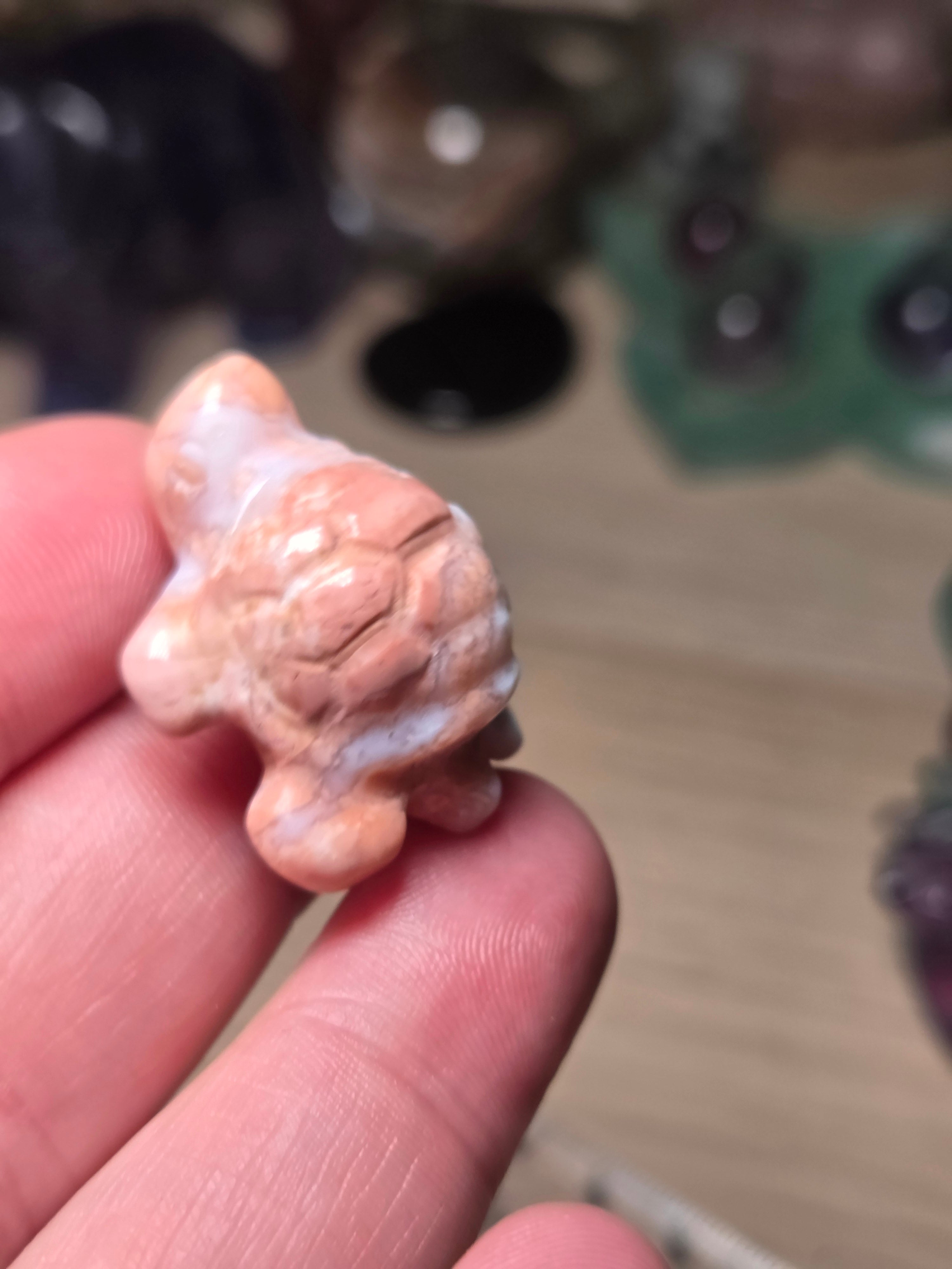 Cotton candy pink turtle carving