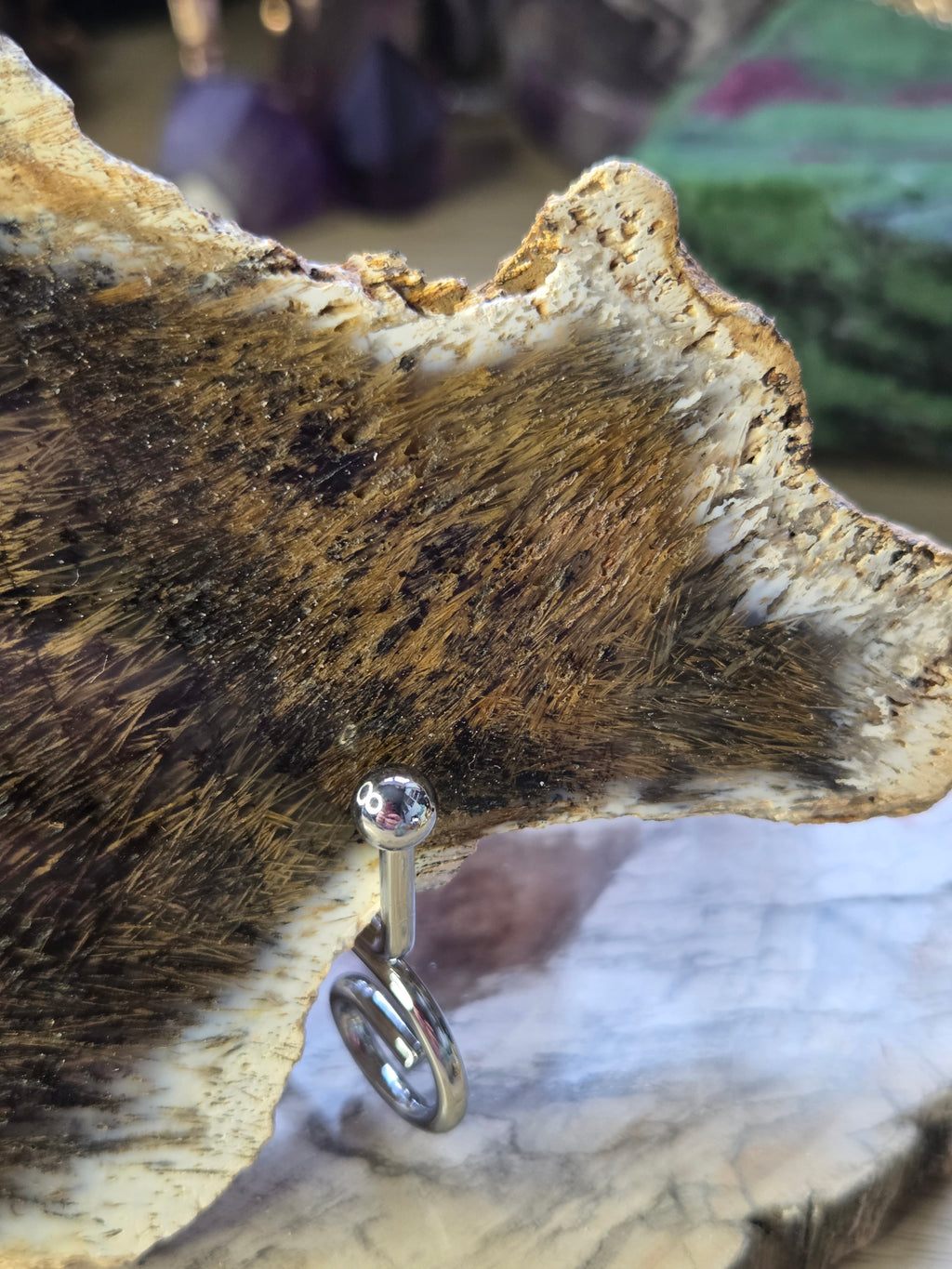 Golden rutile in black agate crystal  slice