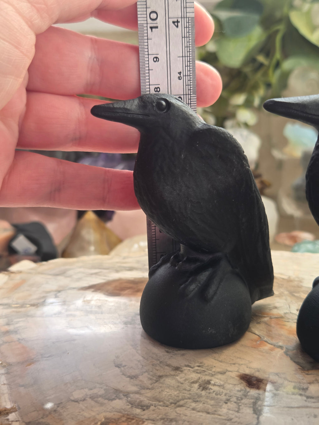 Odin Ravens set of 2