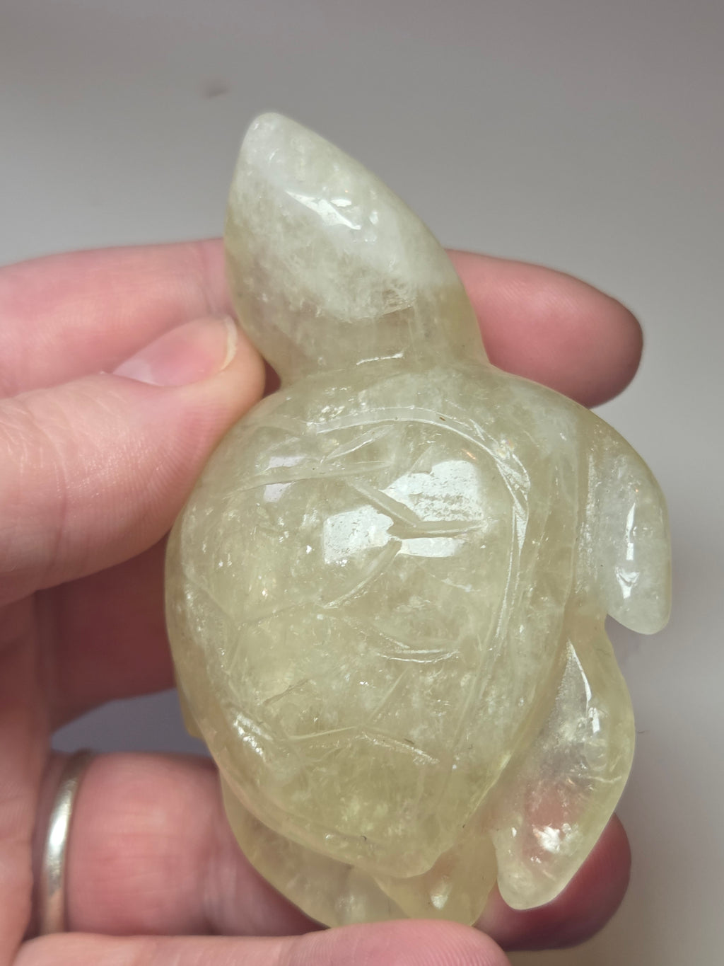 Citrein crystal turtle carving