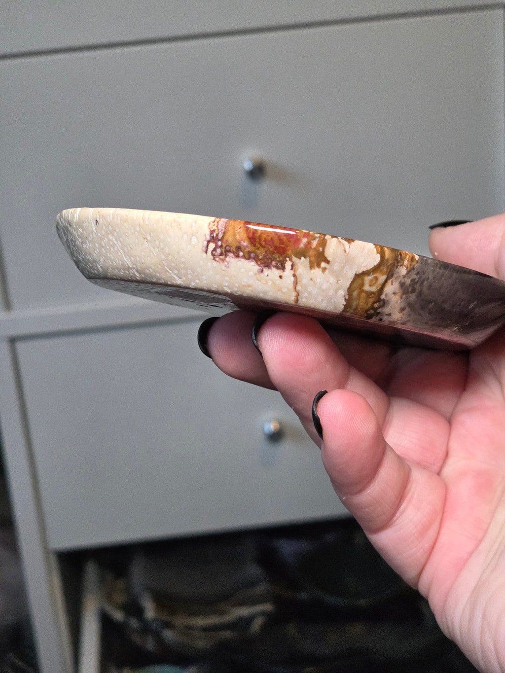 Petrified wood plate from Texas
