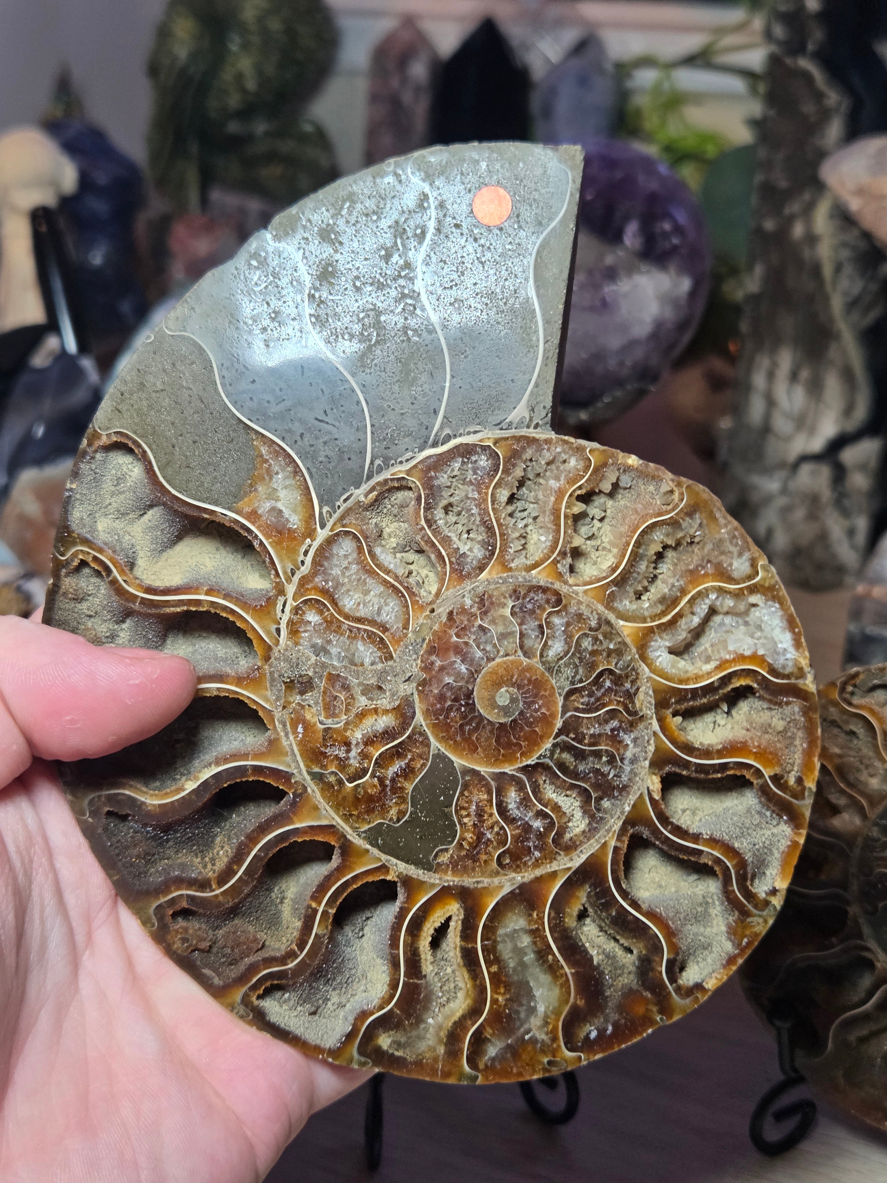 Large Amanite slices with Stands