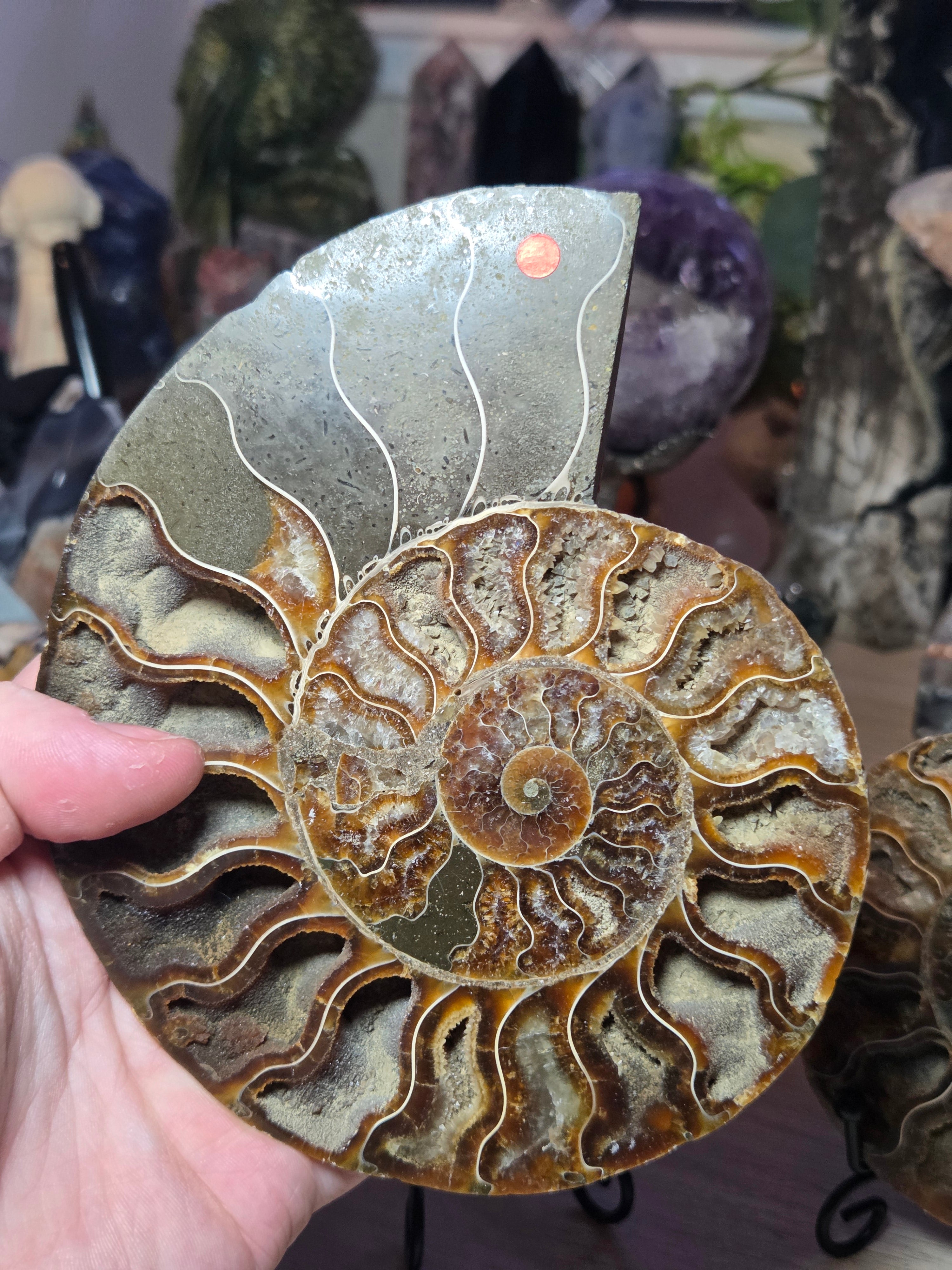Large Amanite slices with Stands