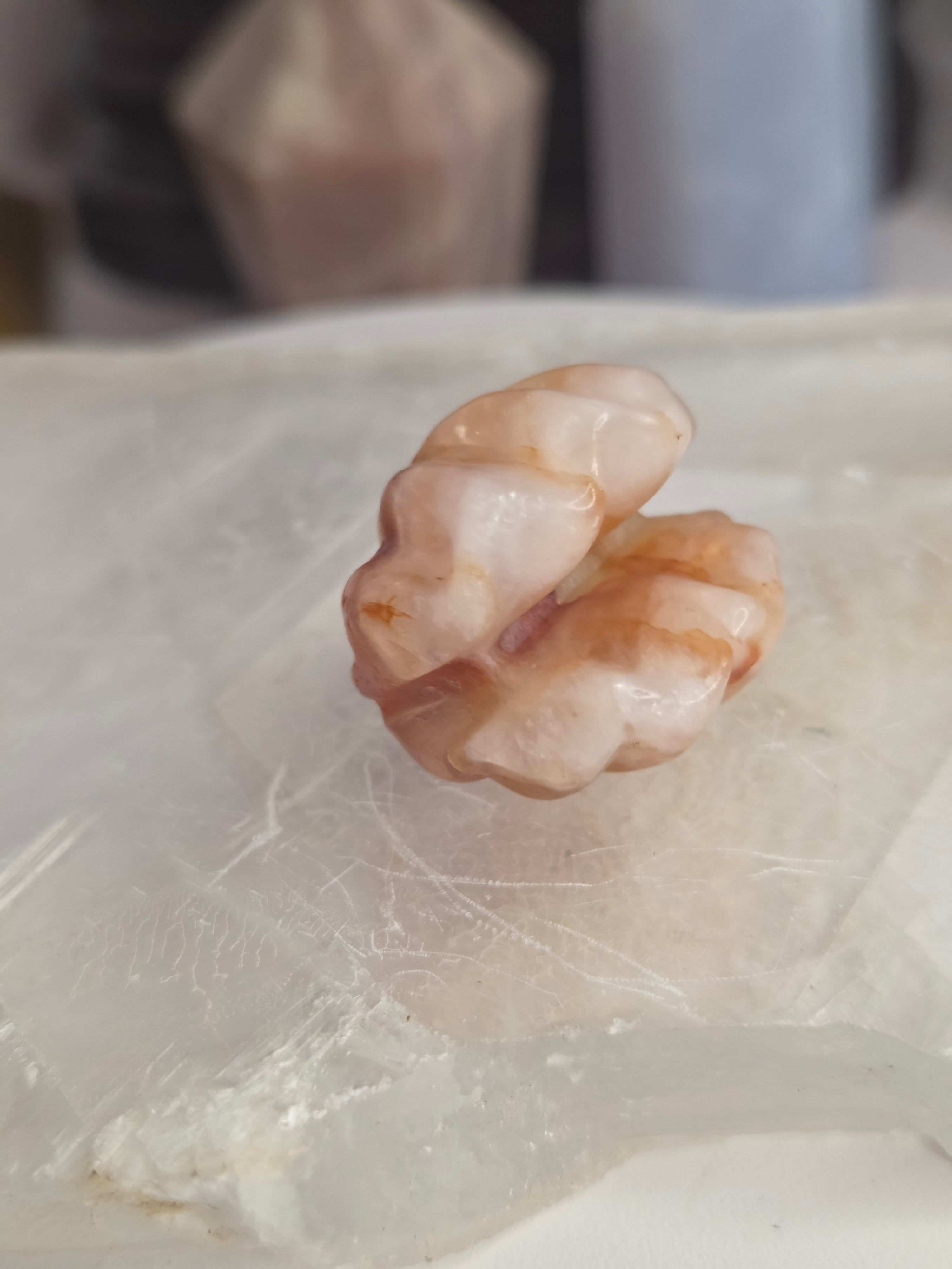 Crystal  mini clams