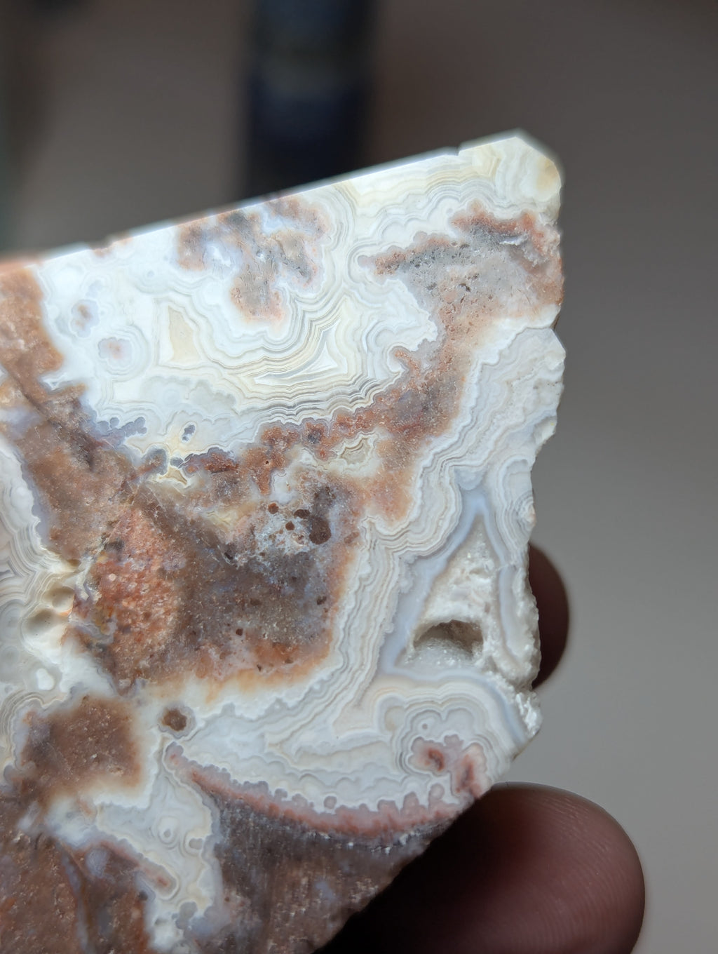 Mexican crazy lace agate crystal