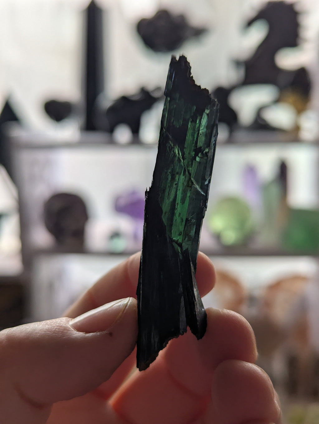 Vivianite specimen in box
